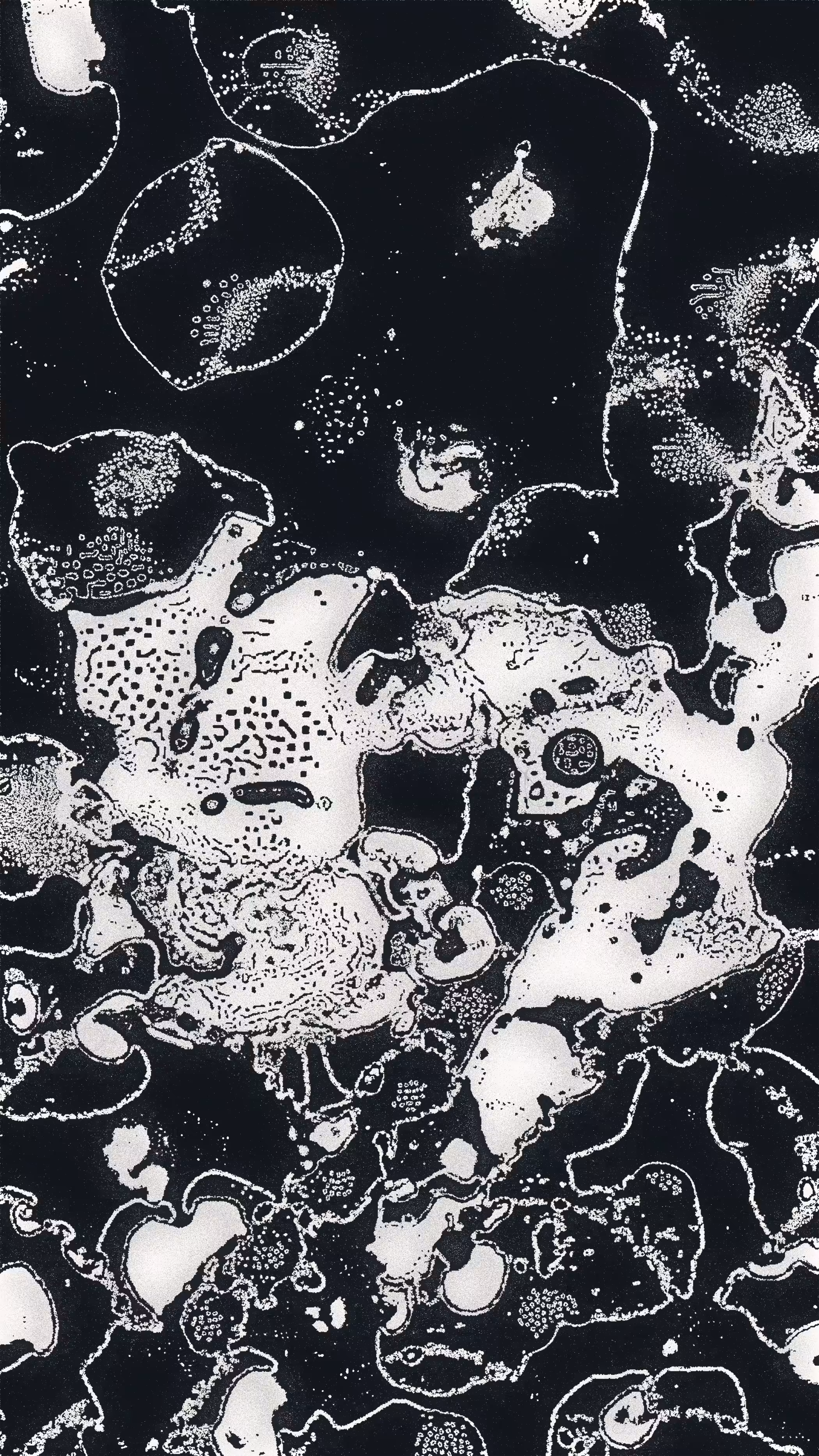 Water Studies #17