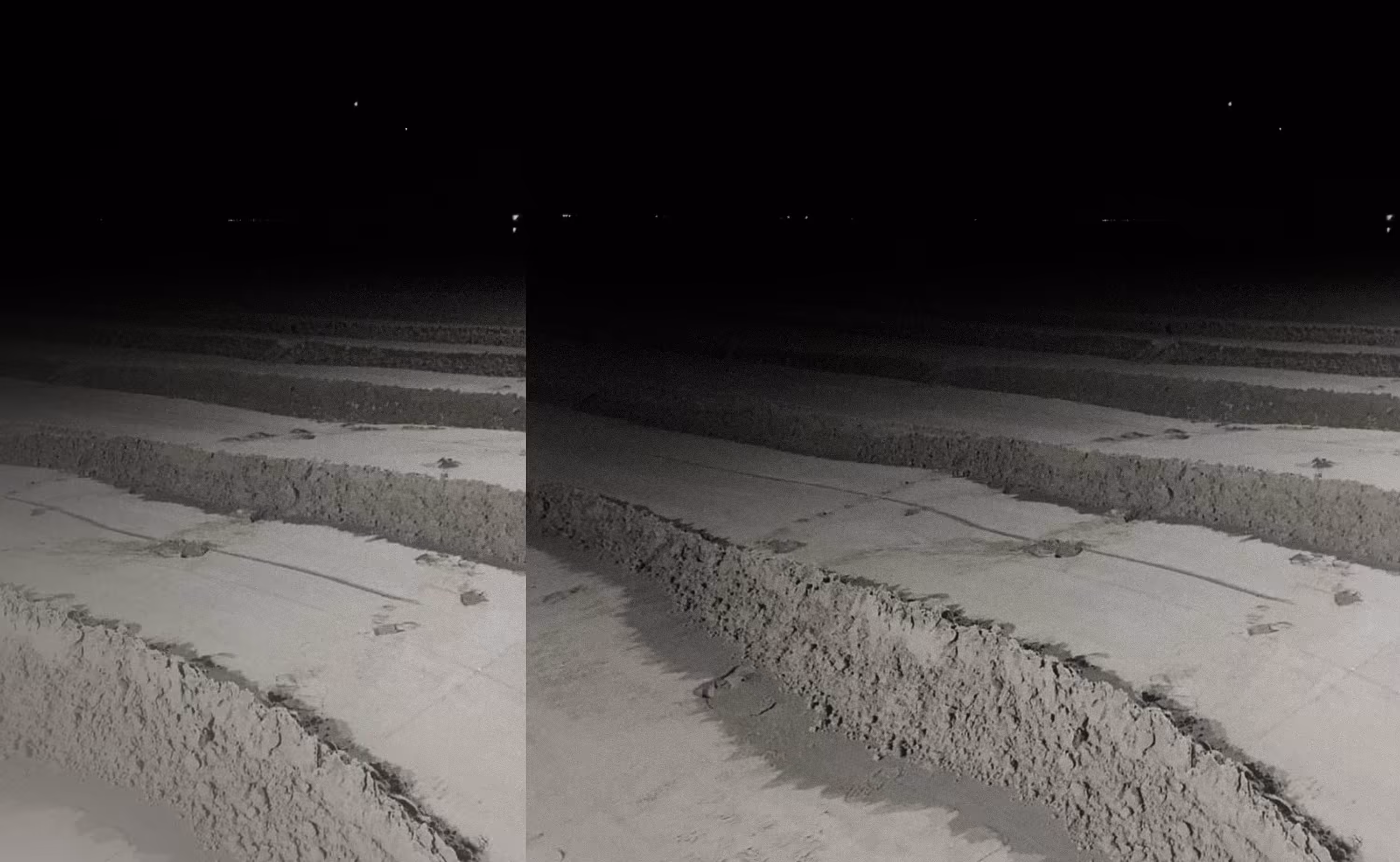 031021