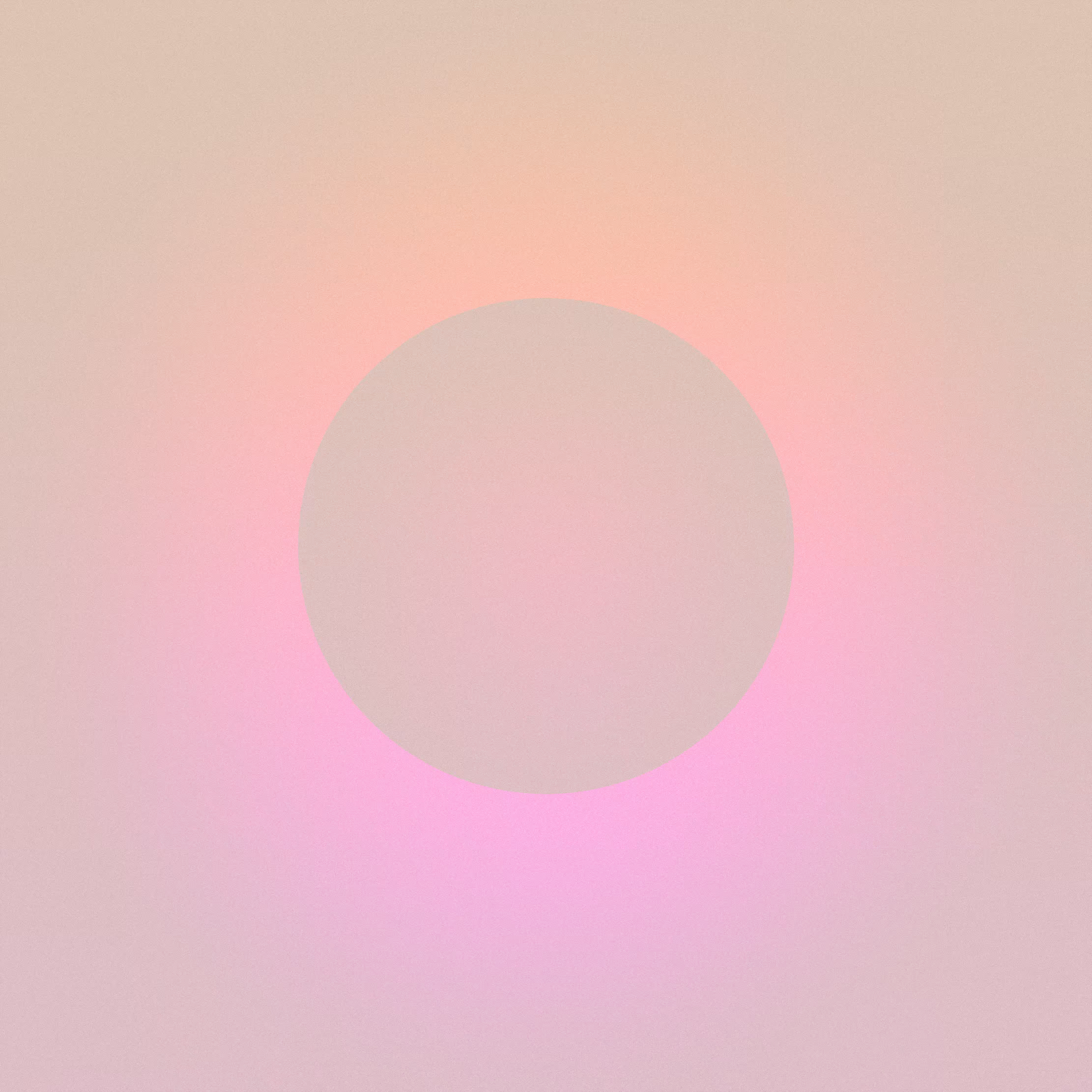 with the light 38