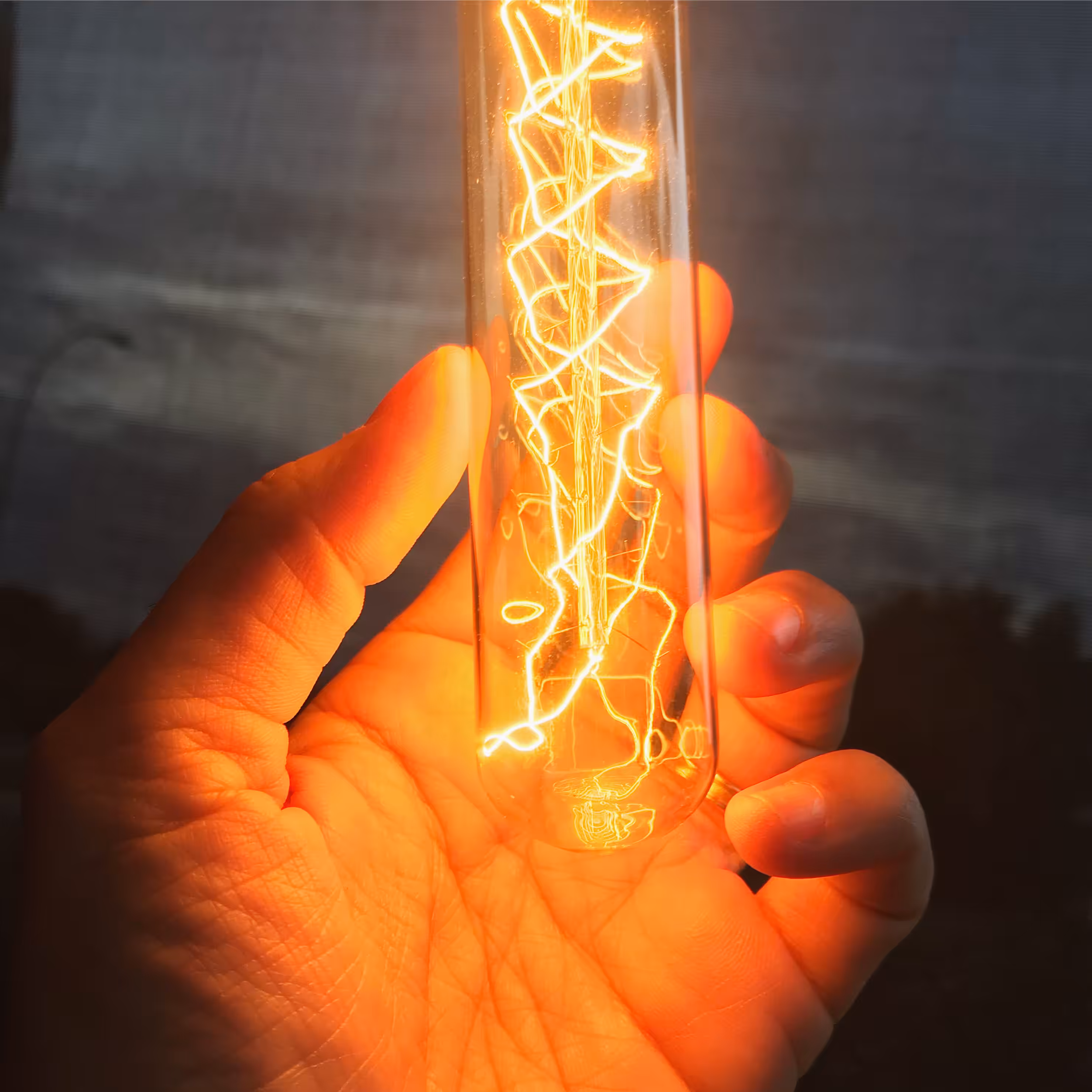 fiat-lux