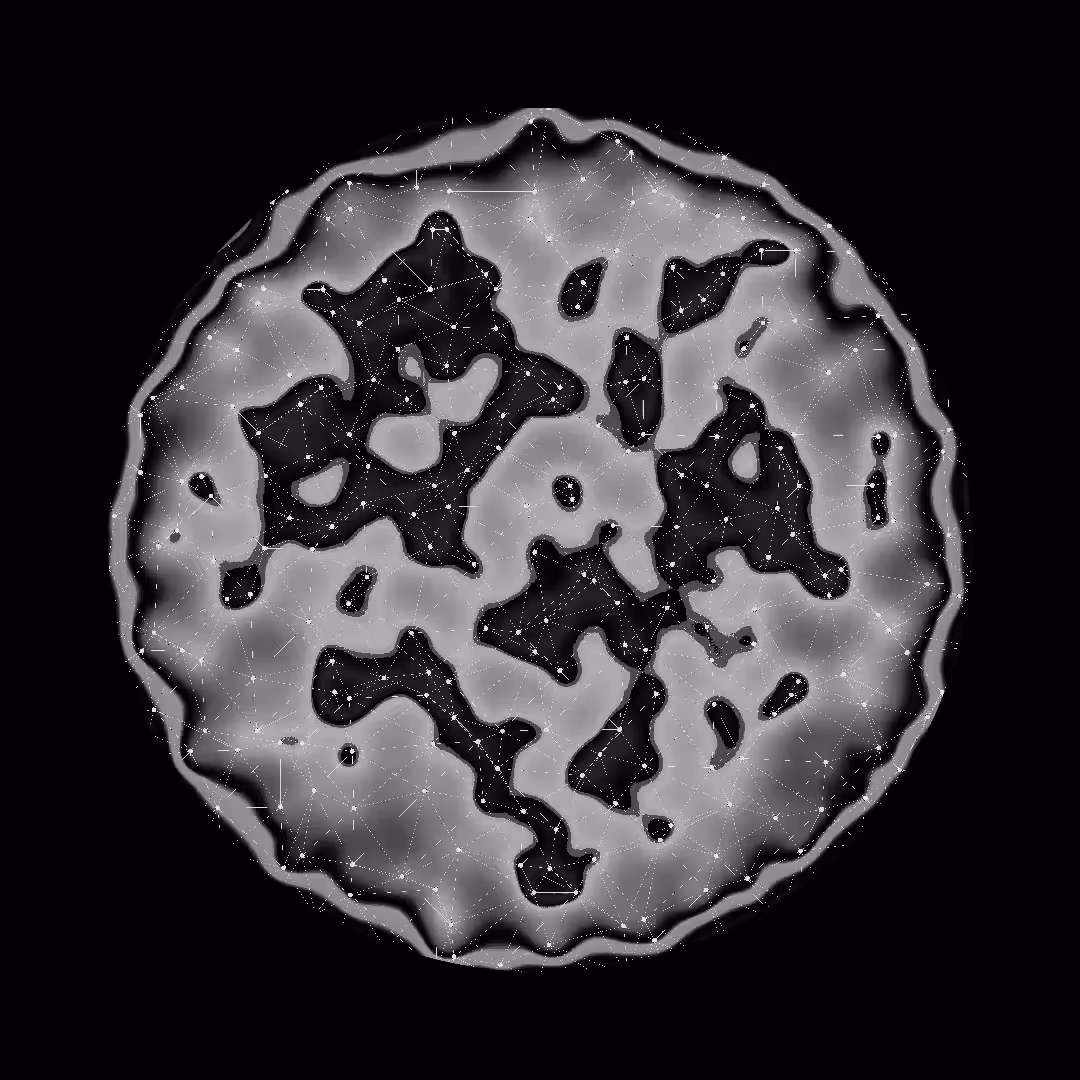bacteria