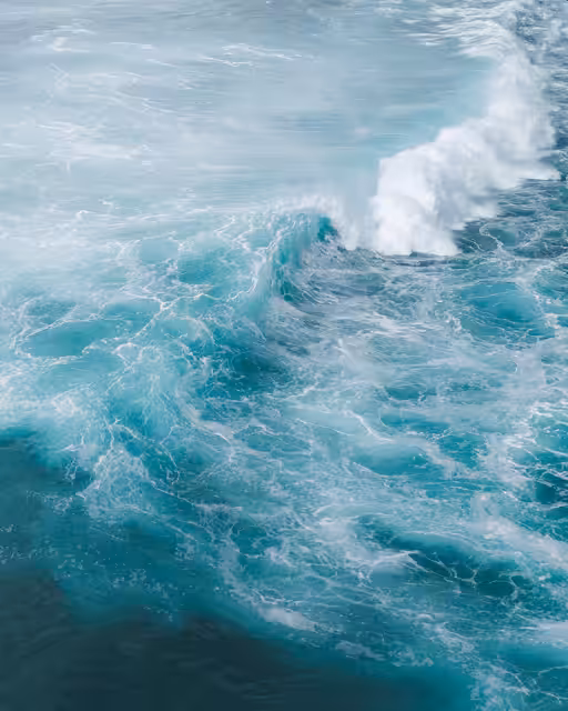 #24 Moments in Tide - Oceans Wild