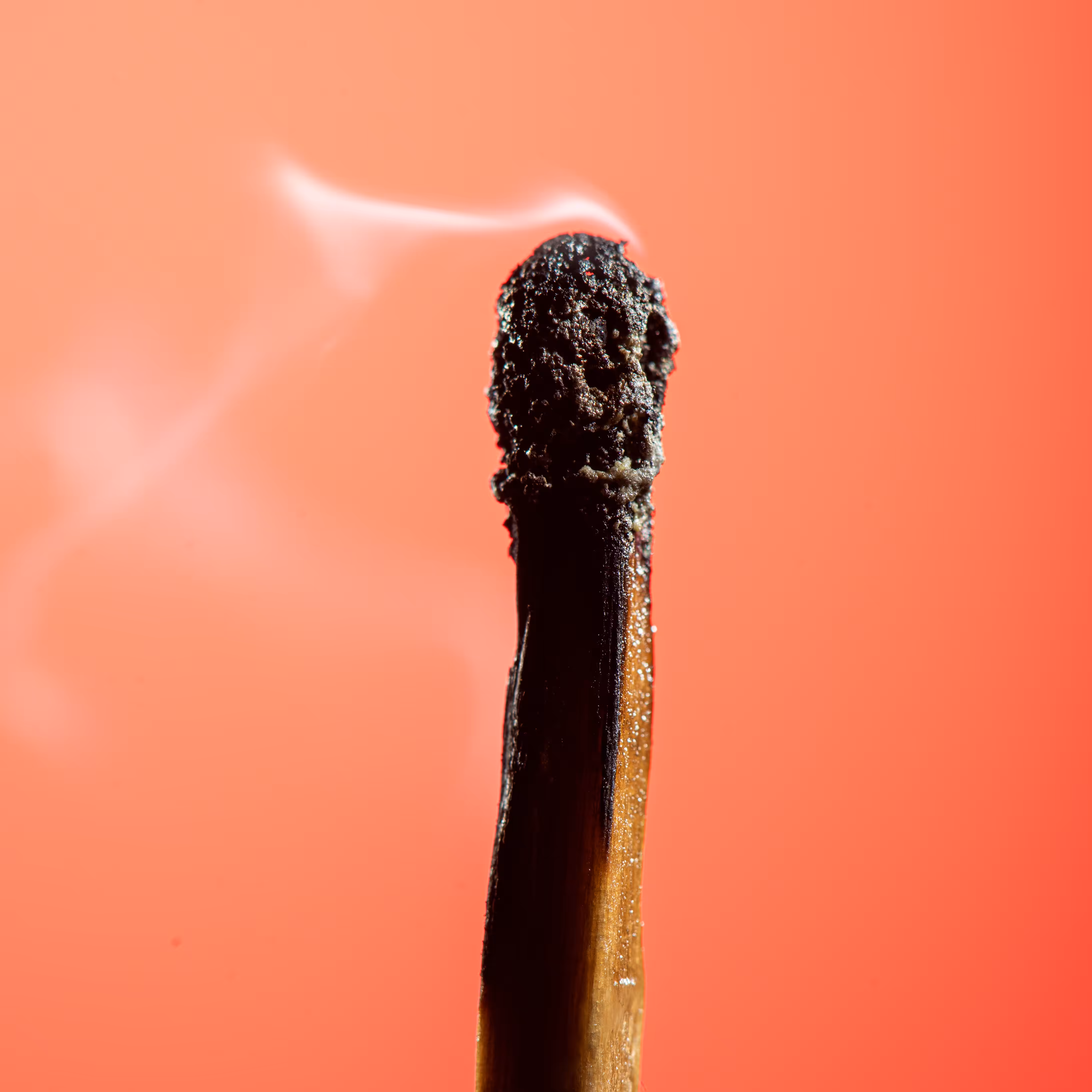 Matches PFP #2