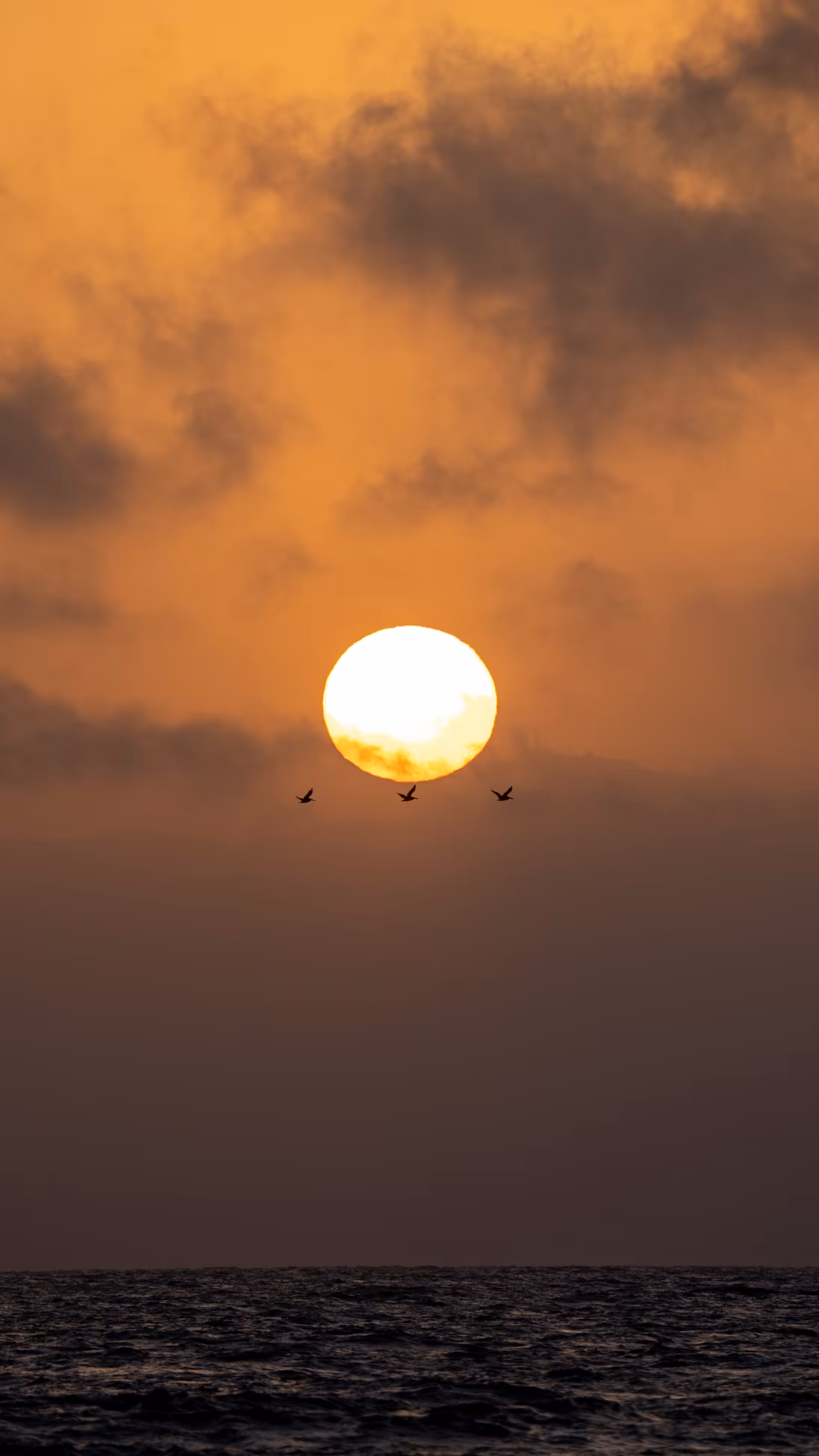 May 8, 2021 / Digital Venice Sunset