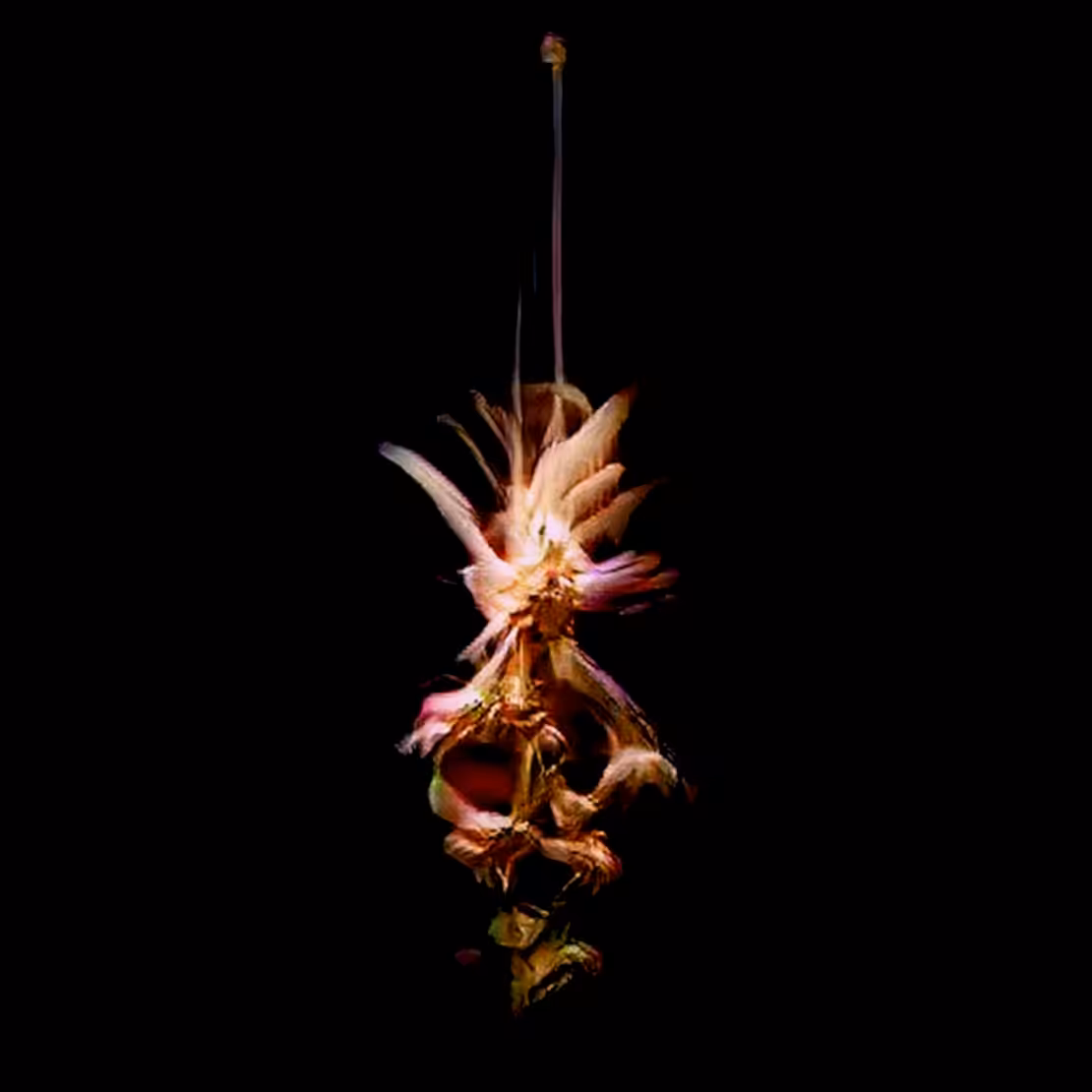 Carnival of the Soul - from Black to Blue