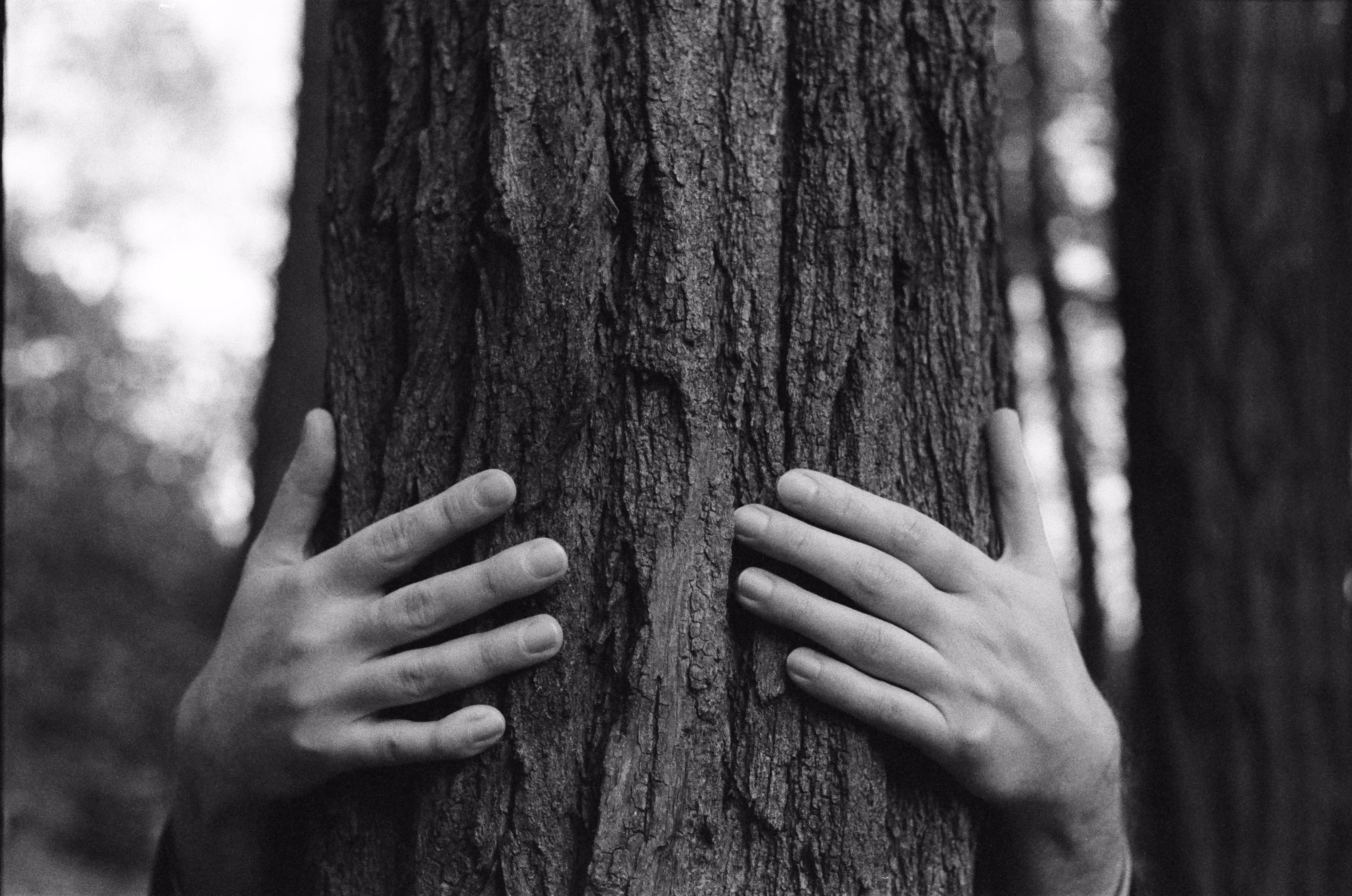 your hands around my throat