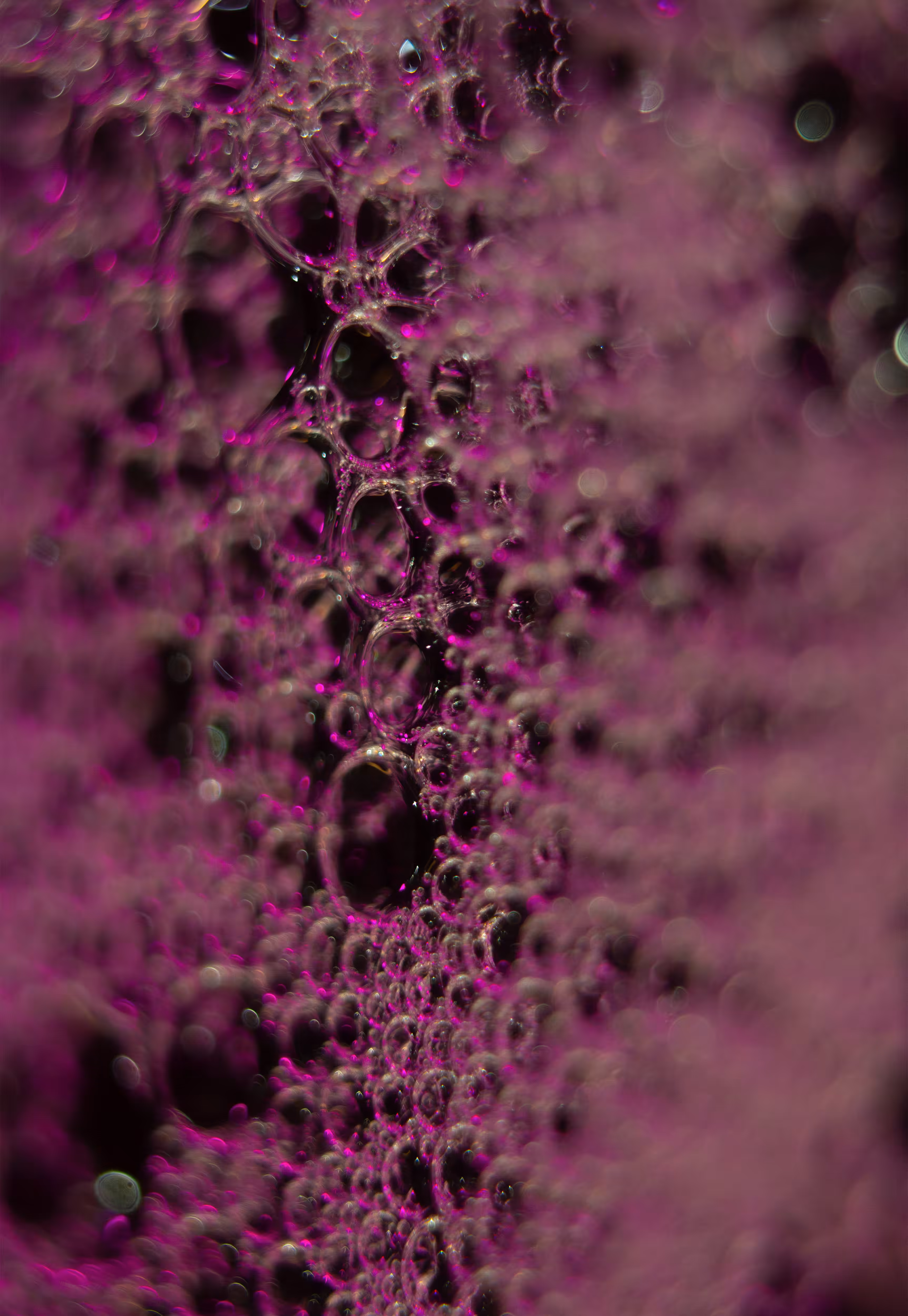 Abstract World of Soap Bubbles: #162 Bubbles