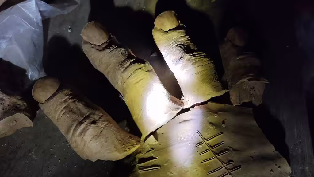 Torture, Relics and Debris (A tribute to Gaza): Forensic Archaeology of Yet Another