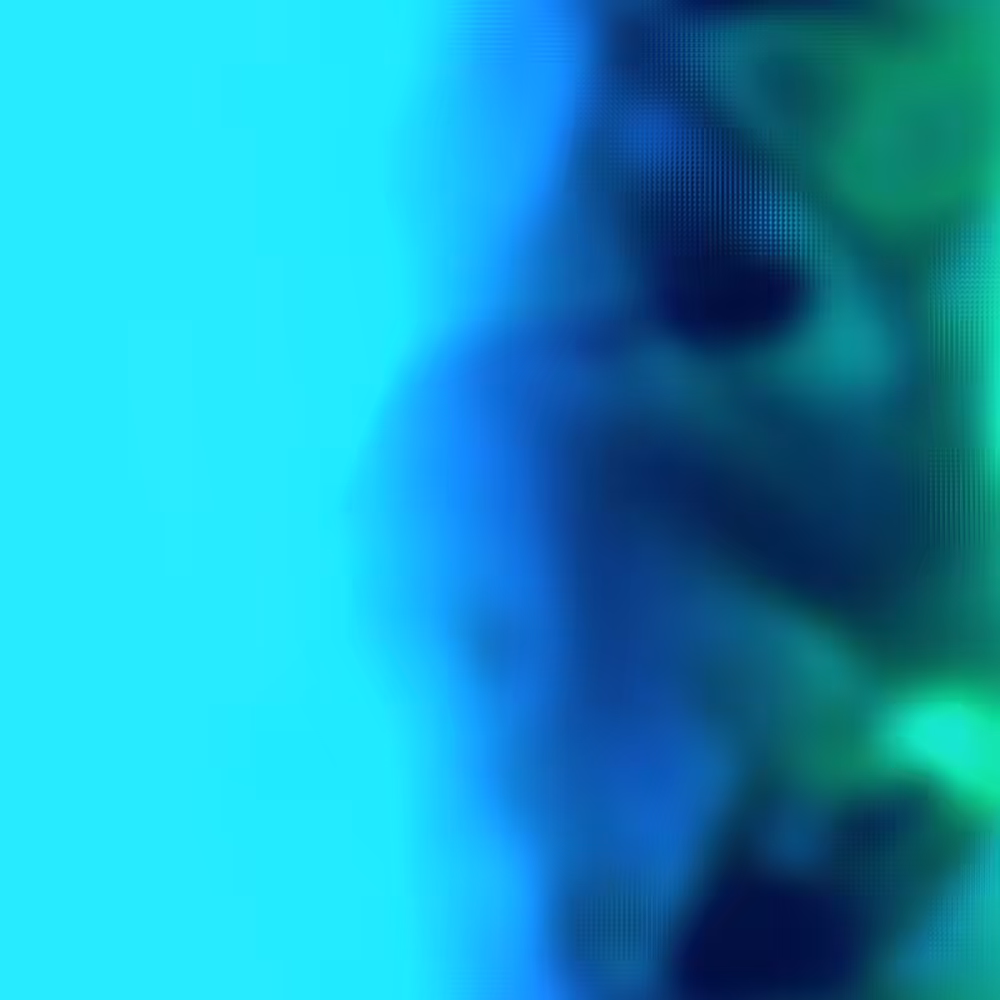rmx 12