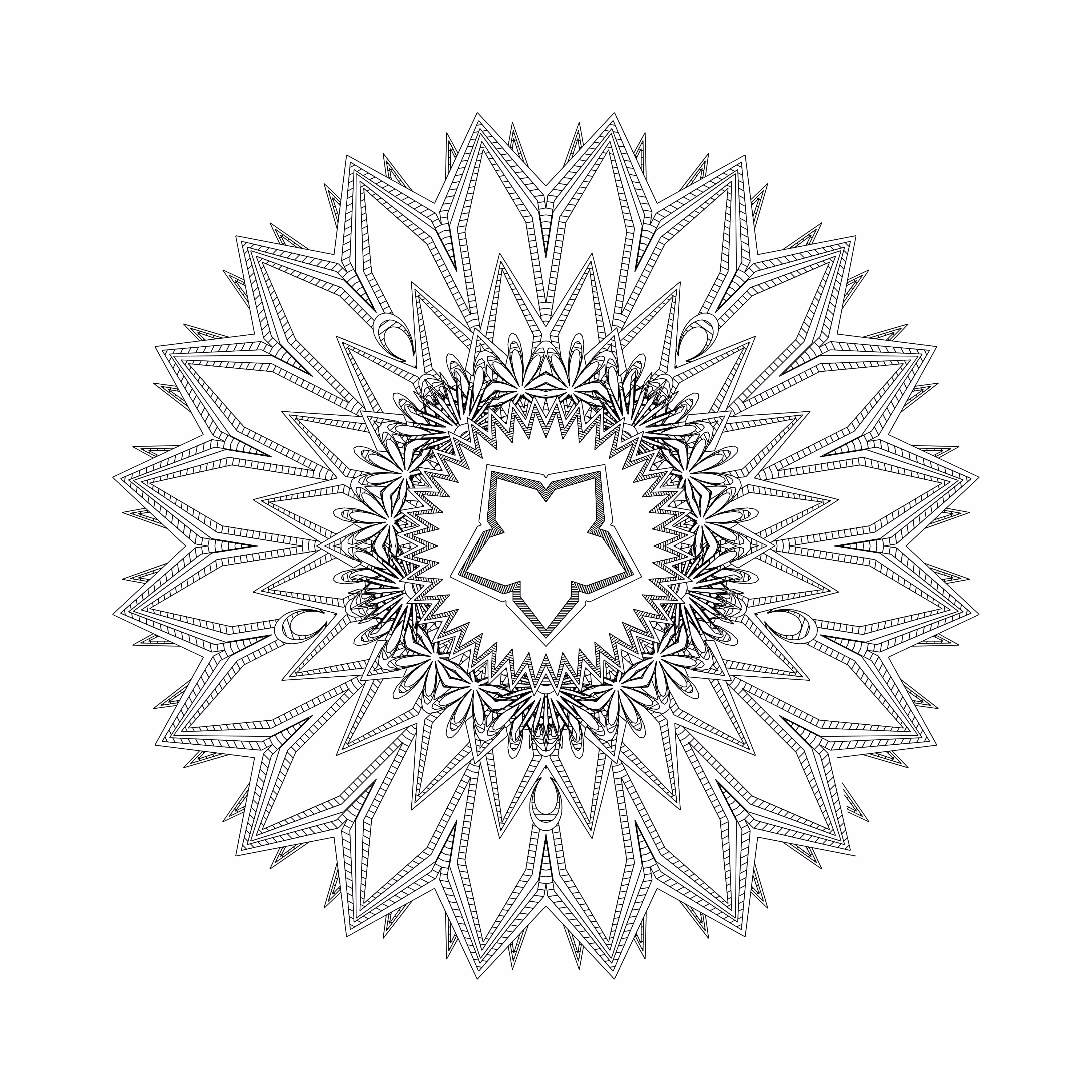 LL21 Mandala #491