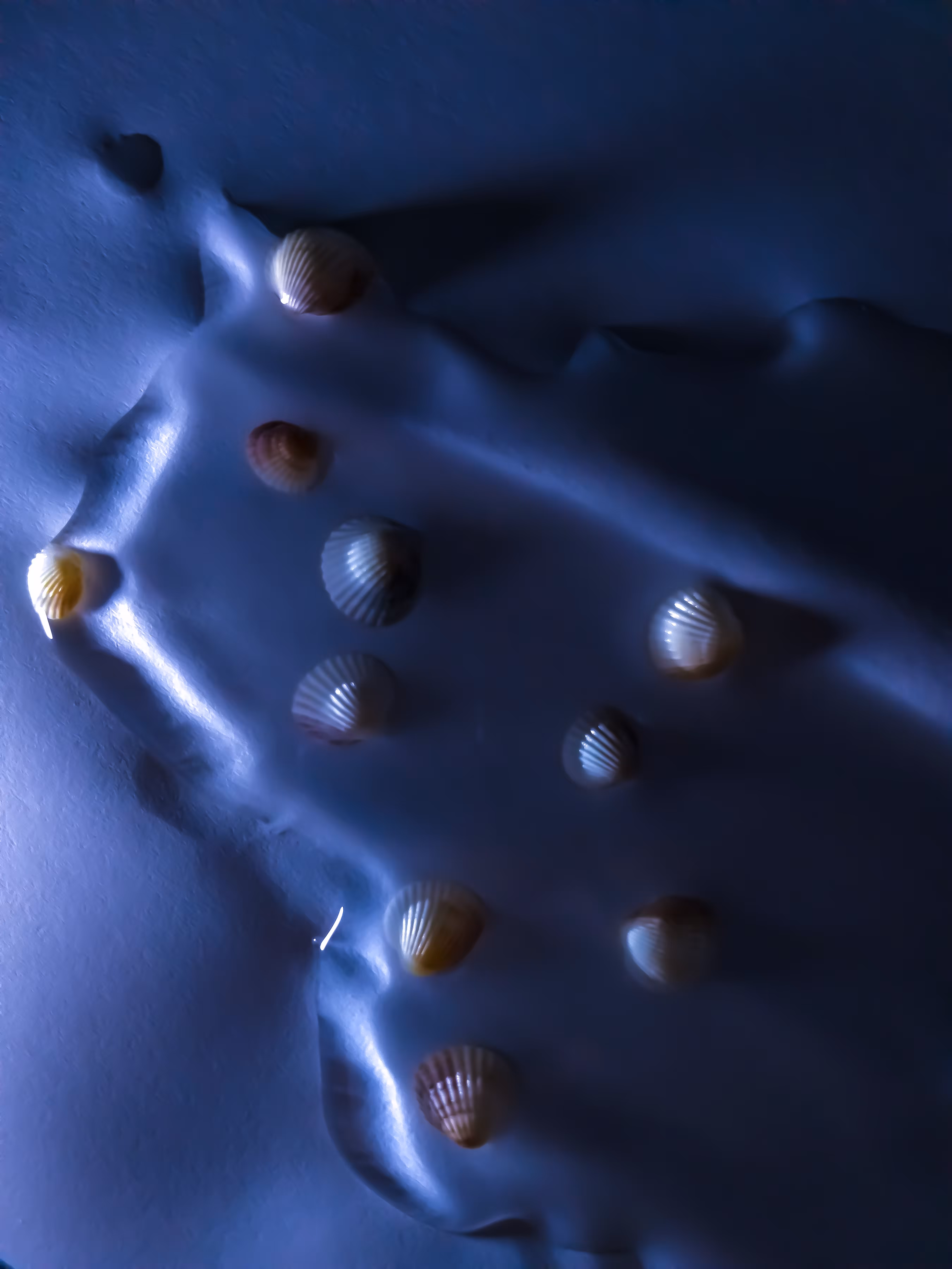 Aquatic