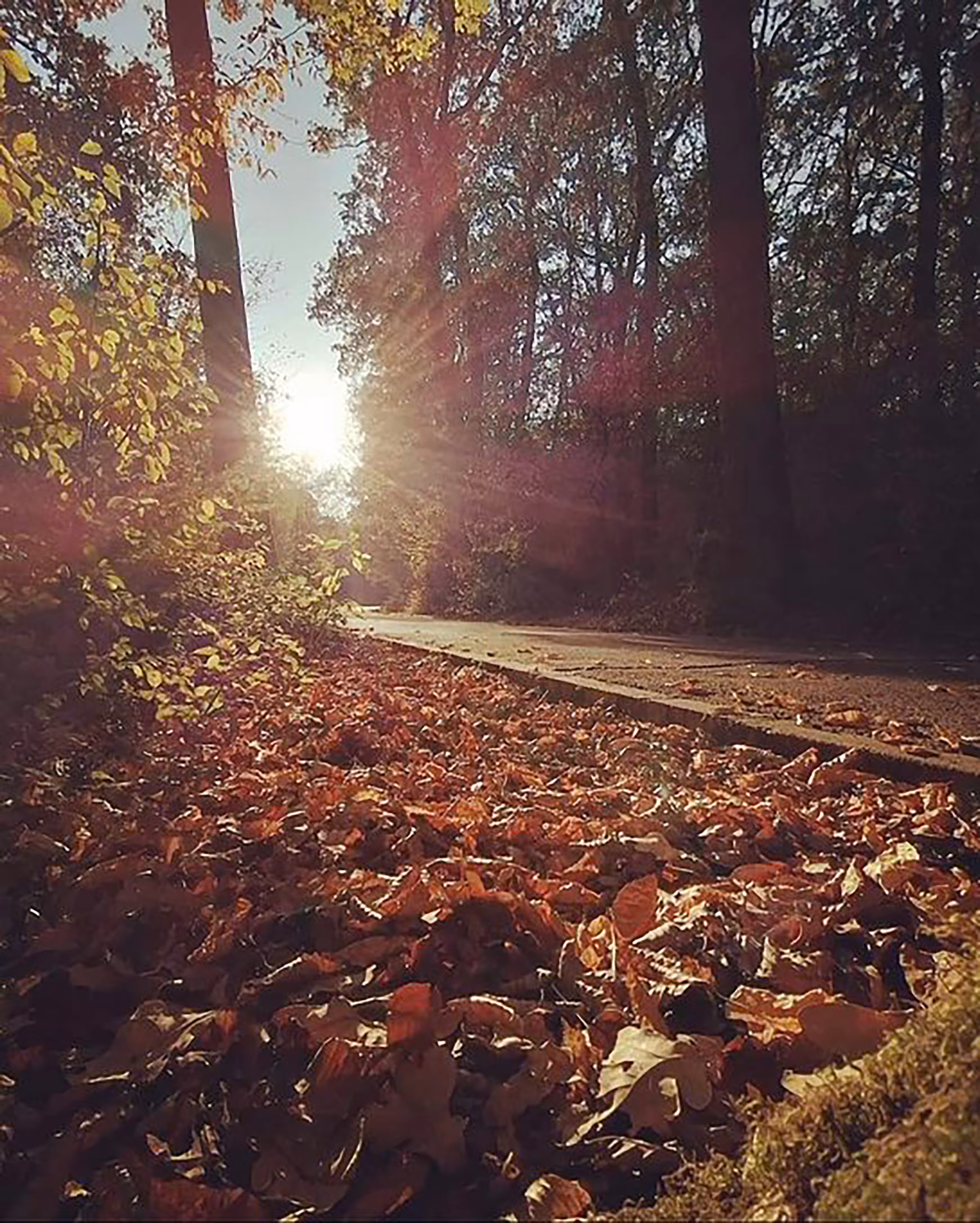 Feels like autumn