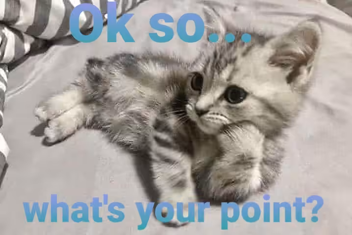 Kitty Has Stuff To Do