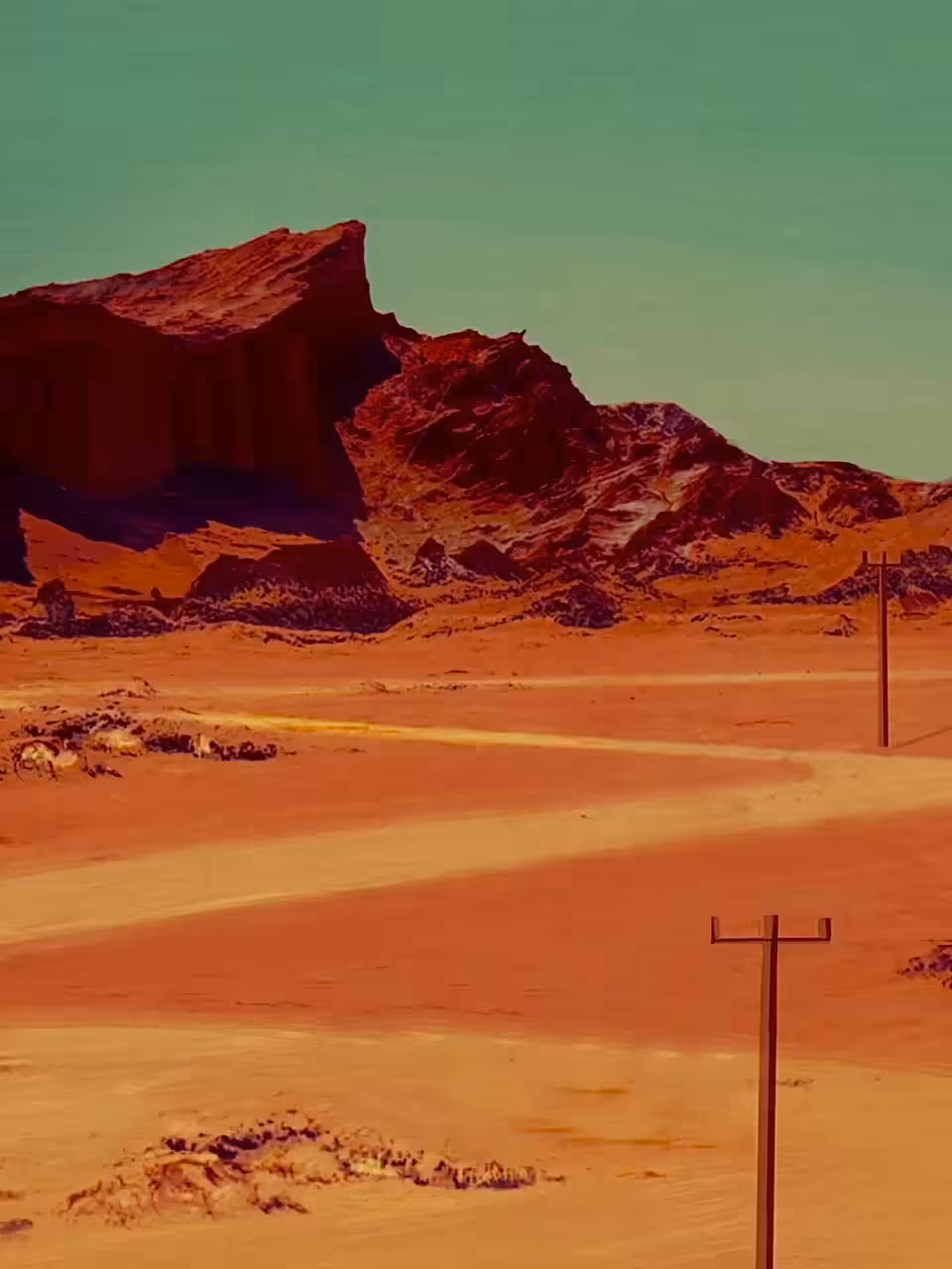 The Roadrunner