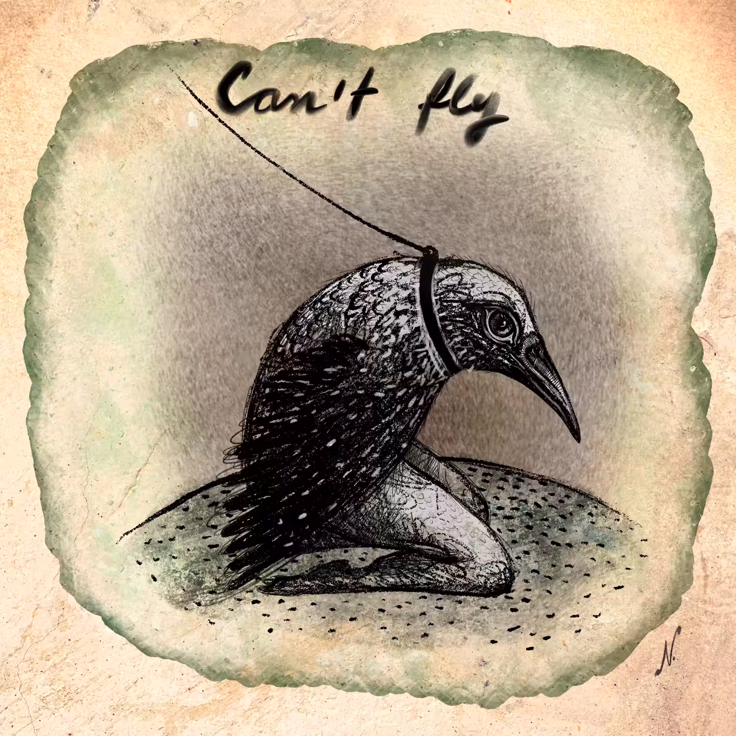 I can't fly