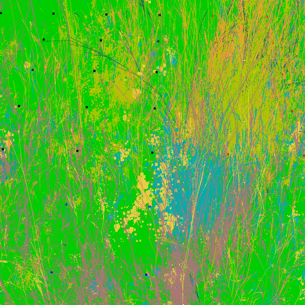 Infinite Garden: 30896 Flowers