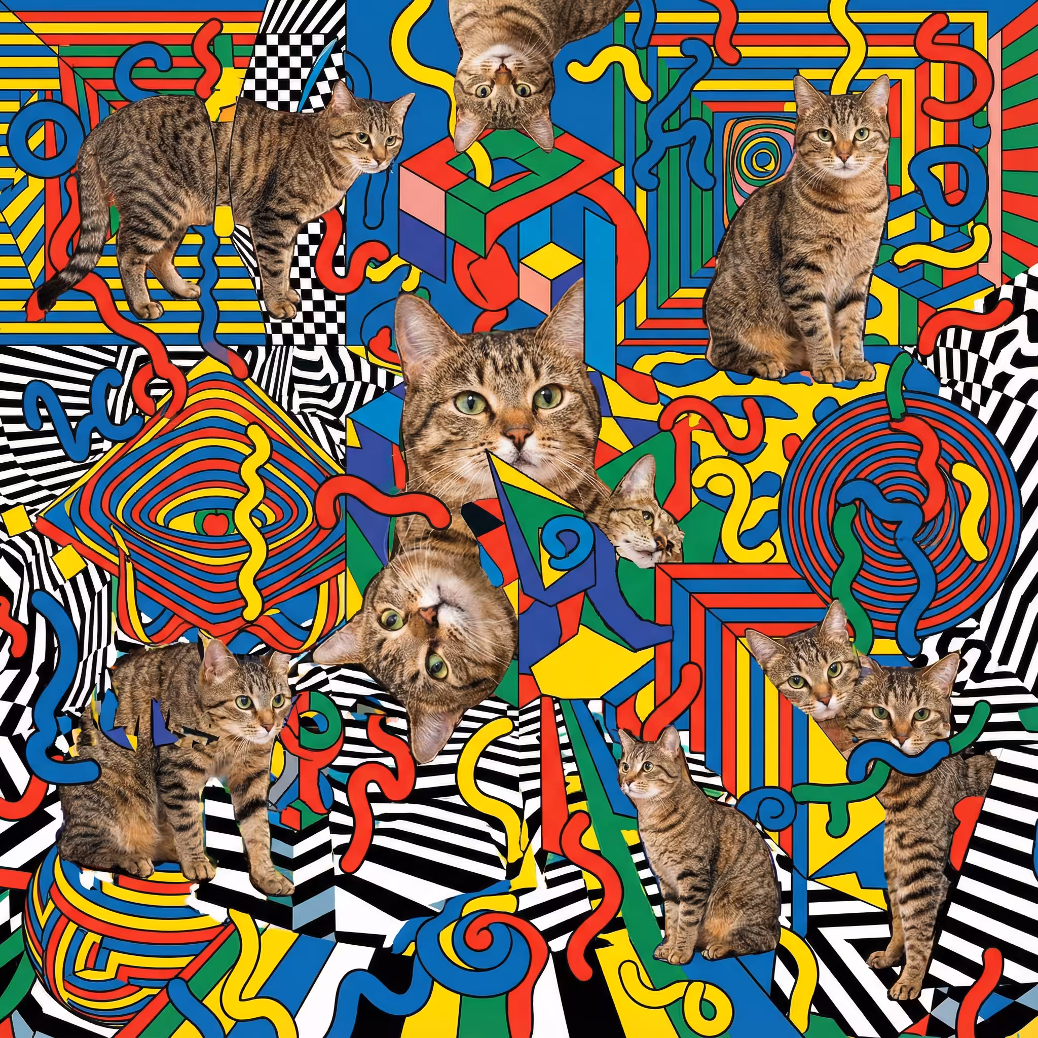 abstract cats #71