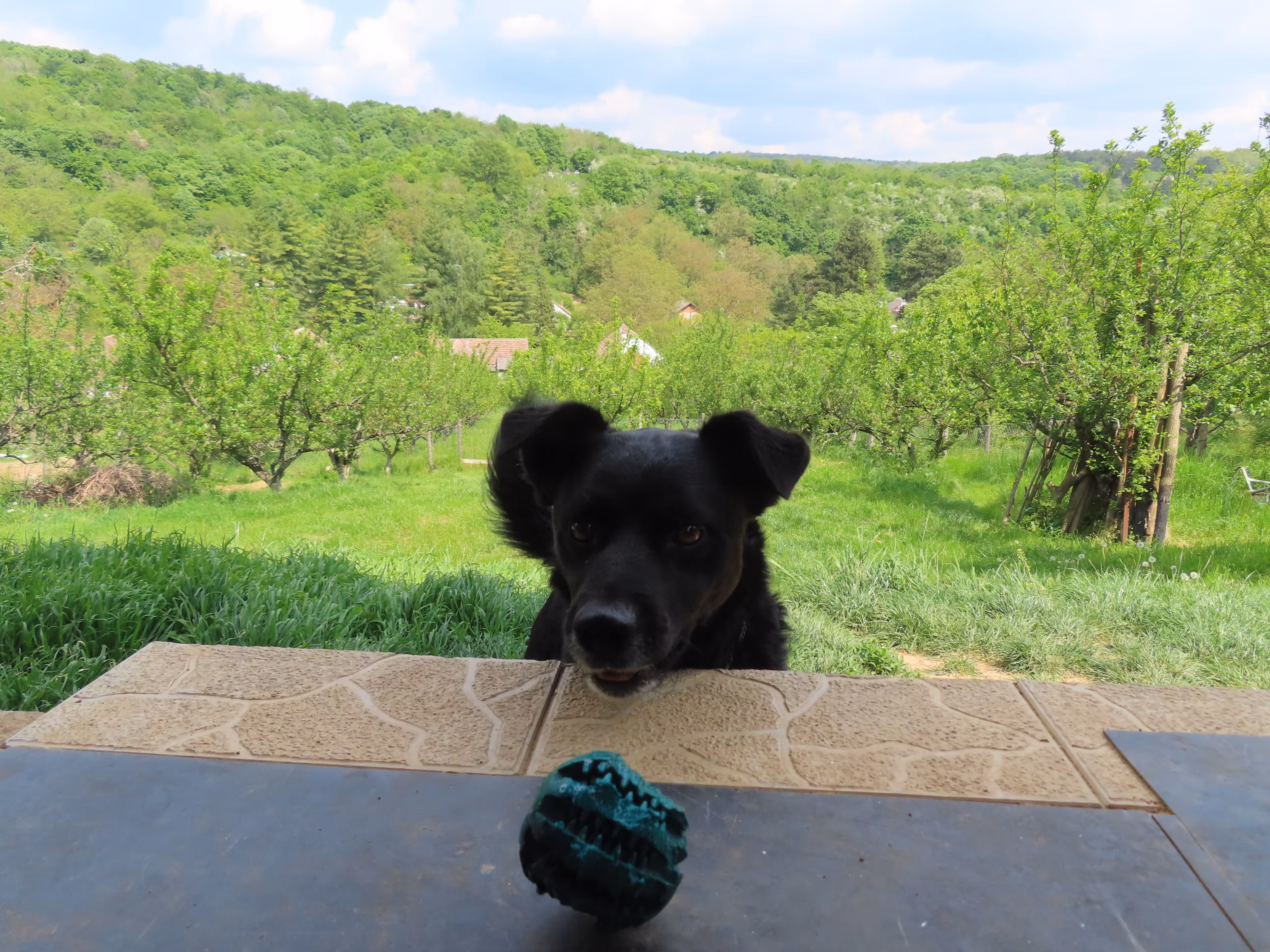 Play Ball Now