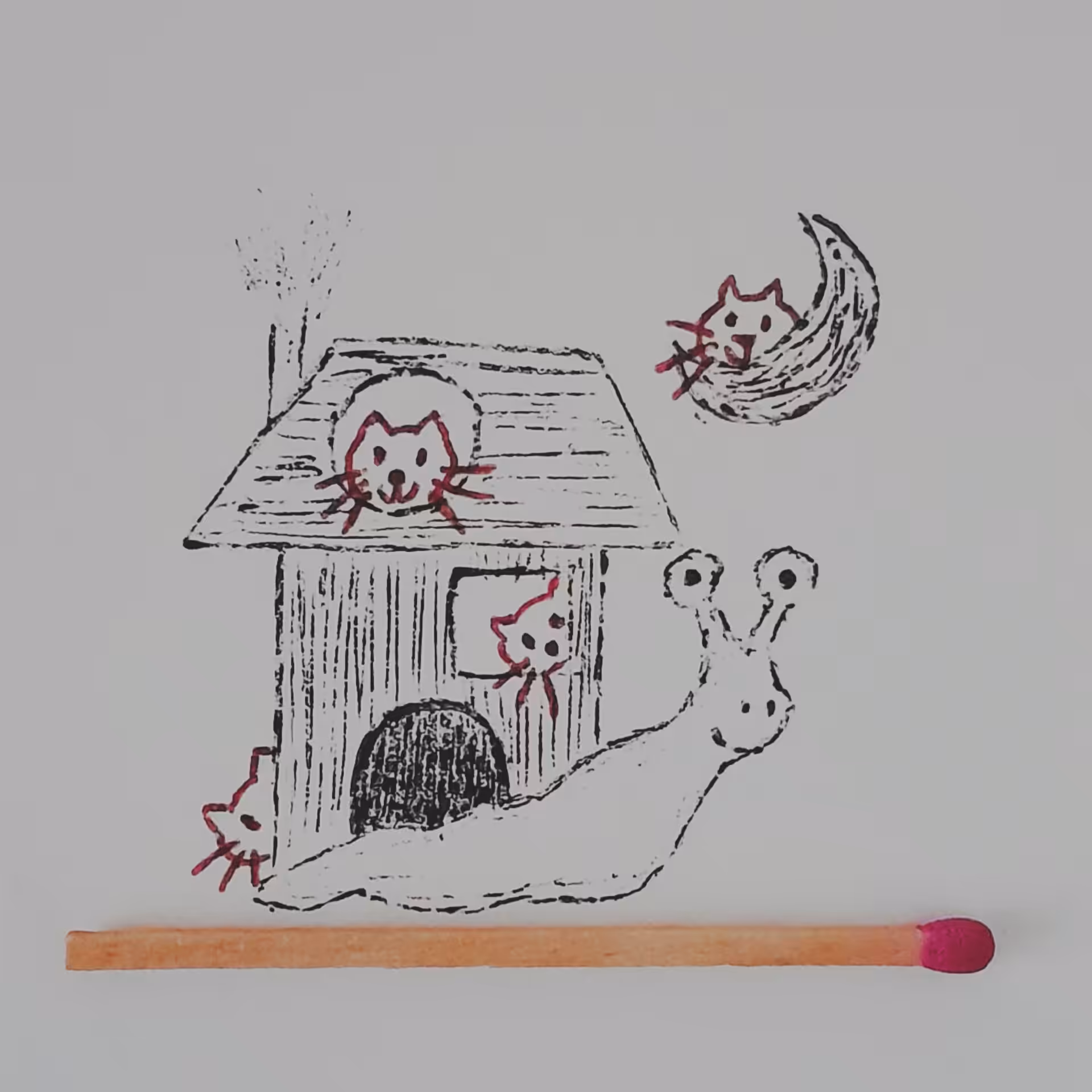 Snail 5