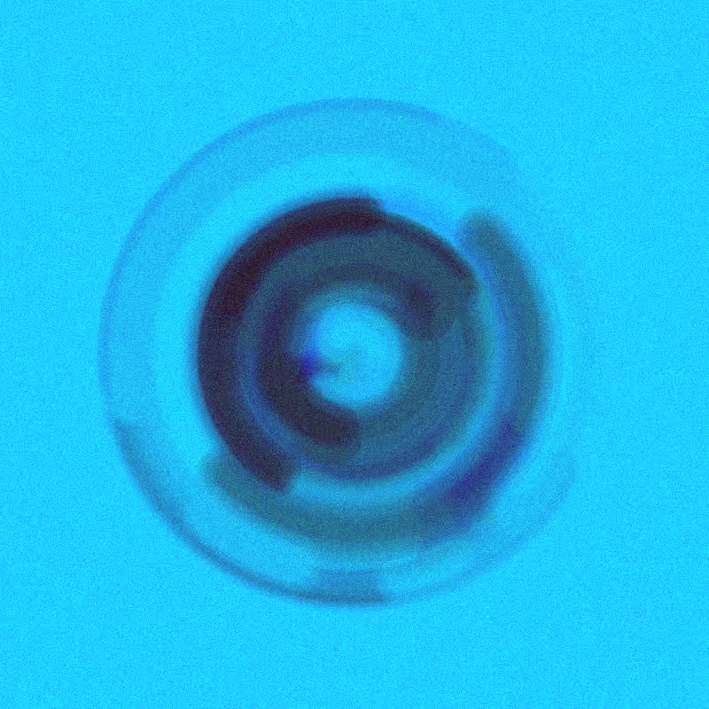 Wisp #225