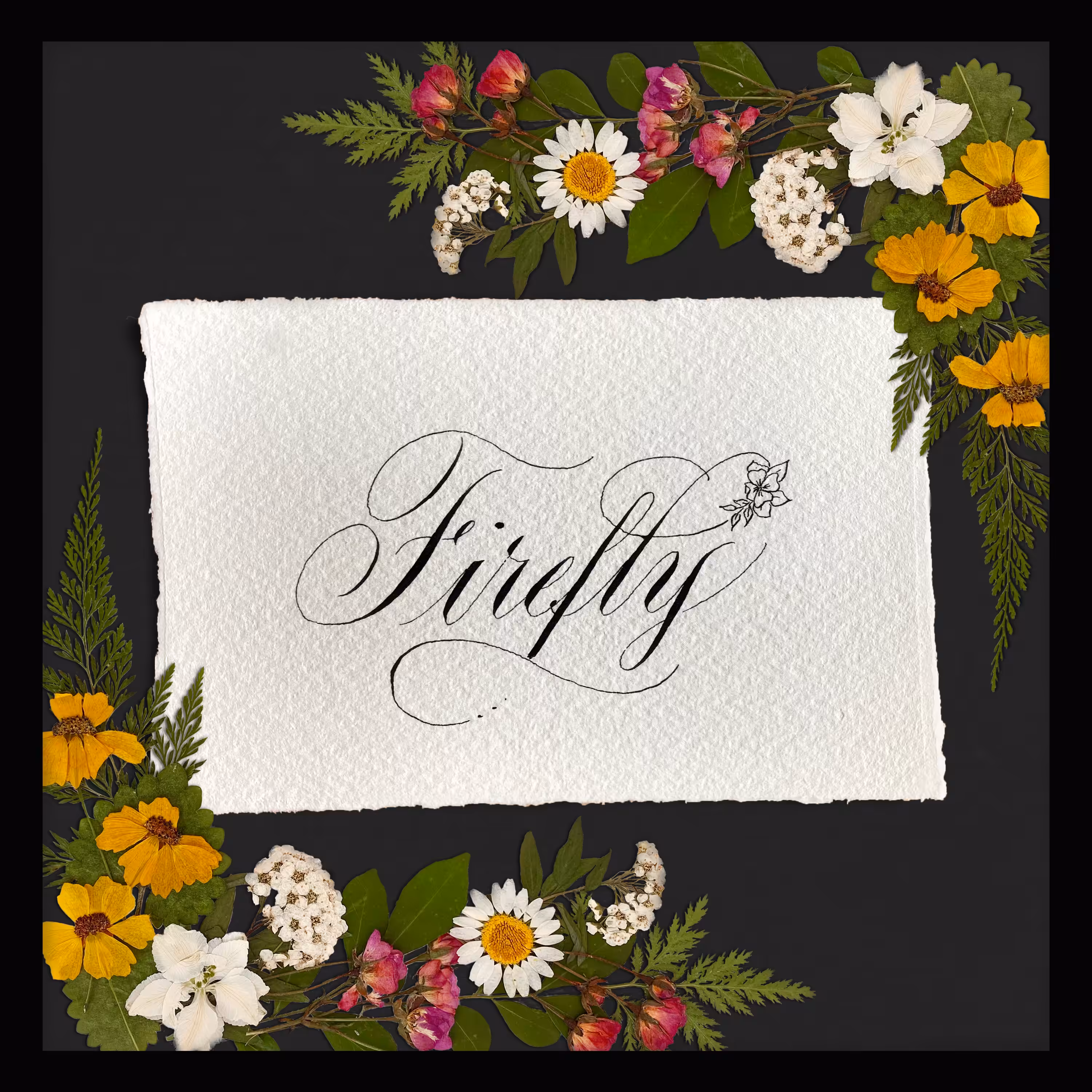 Holy Script: HolyScript #377