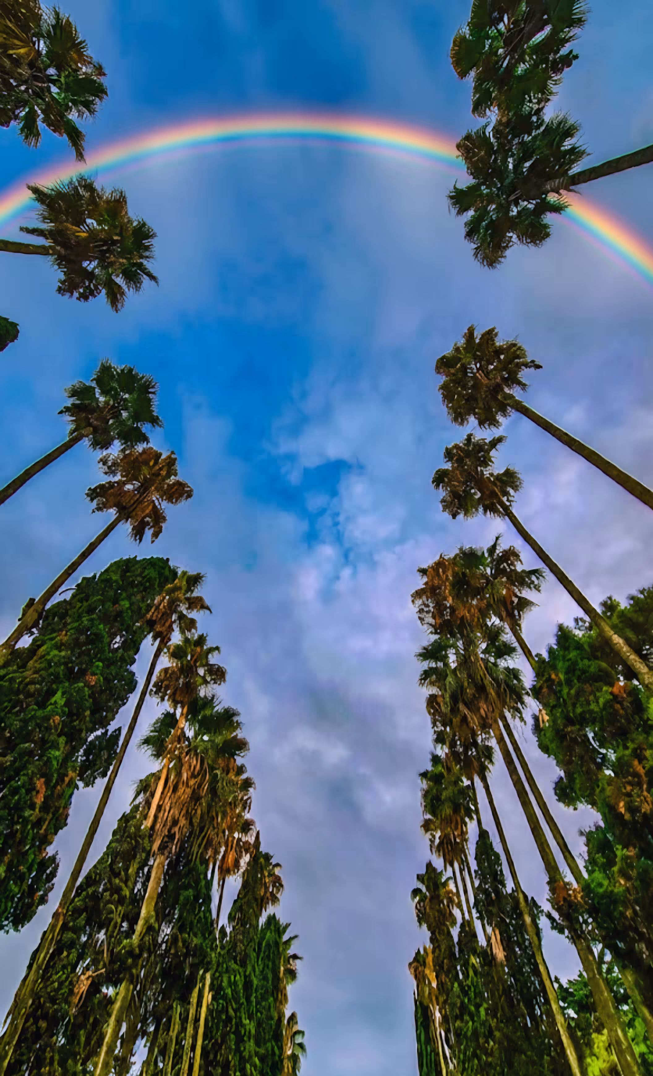 The Rainbow Gate