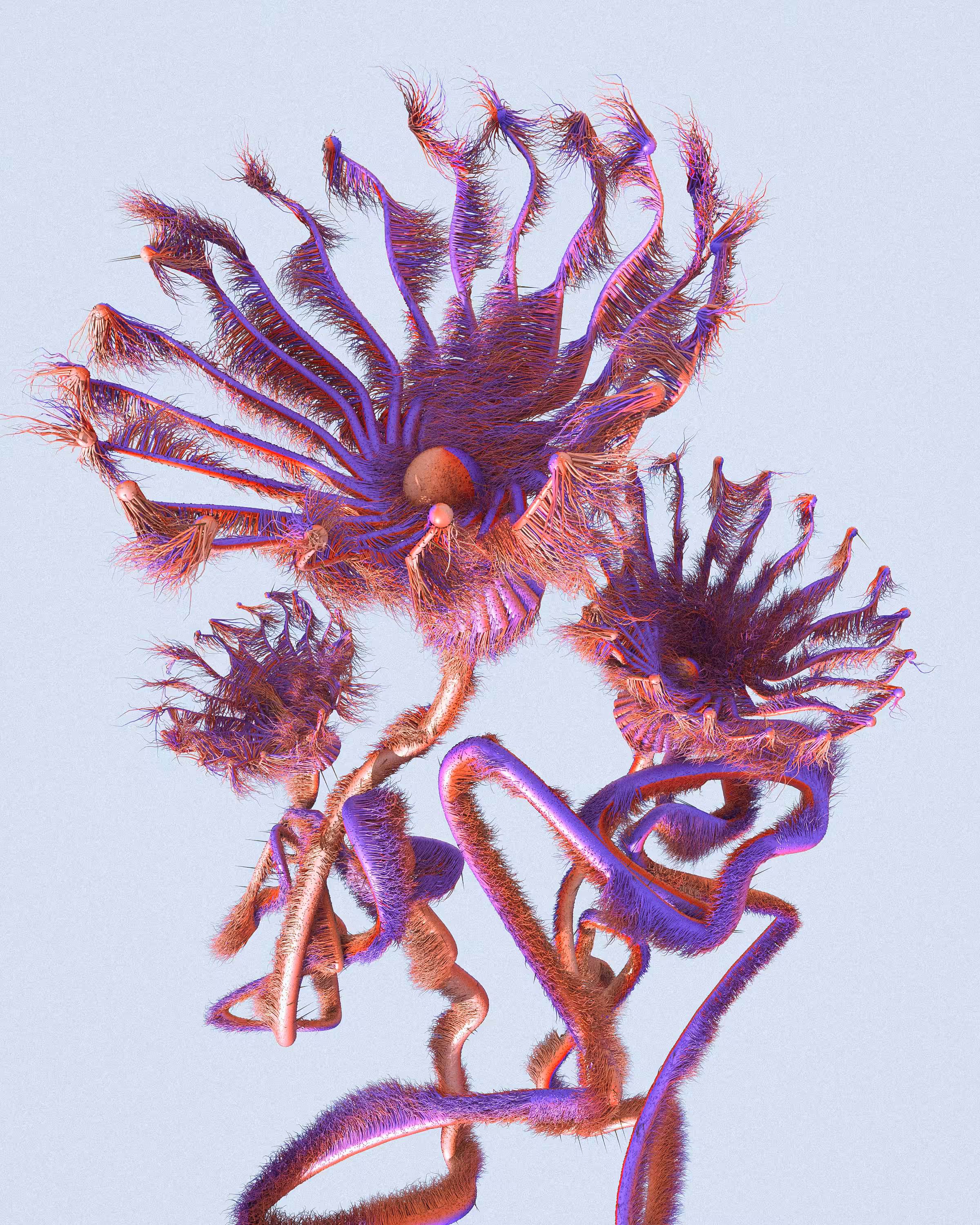 The Wavy Flower 