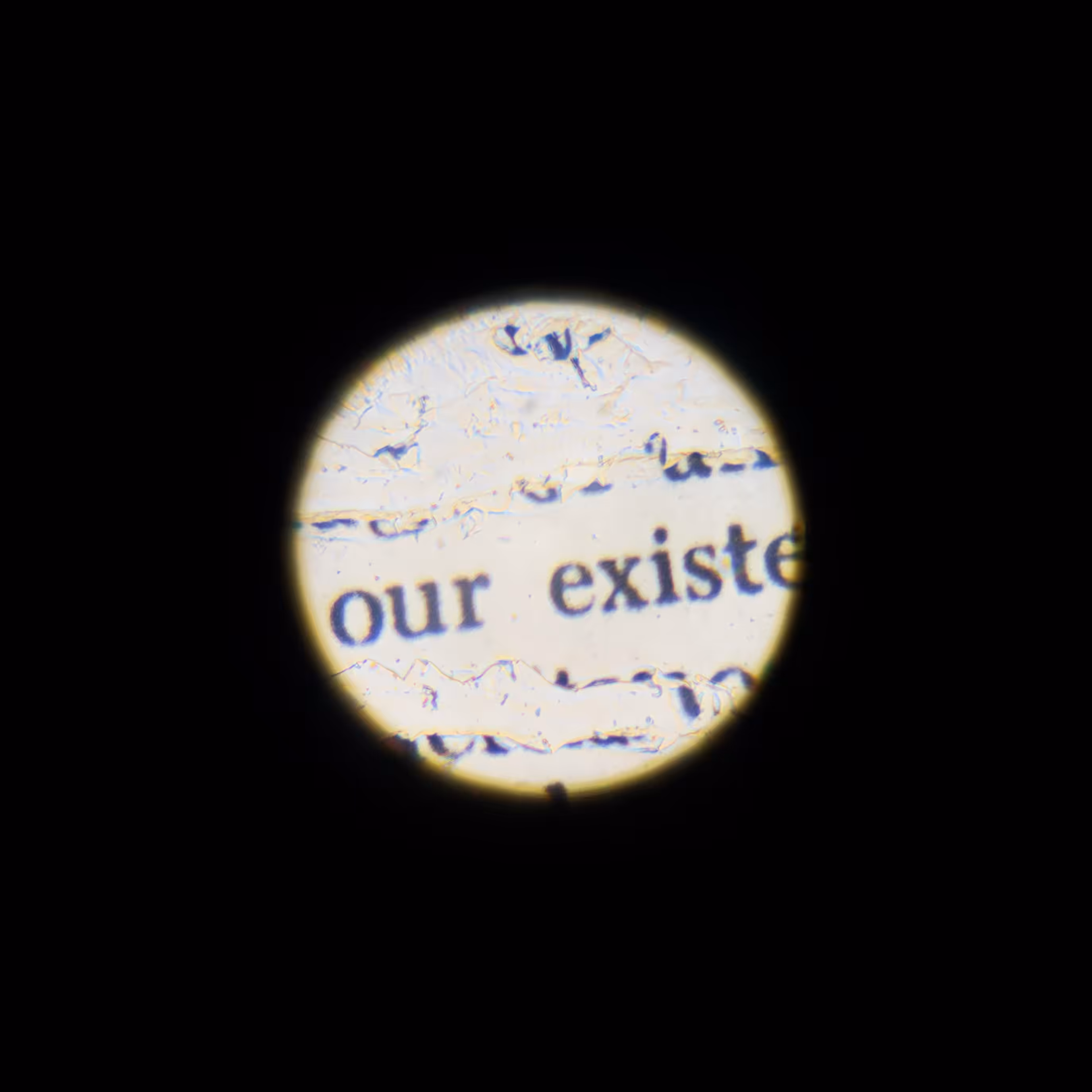 to our existence, to our understanding of the universe 