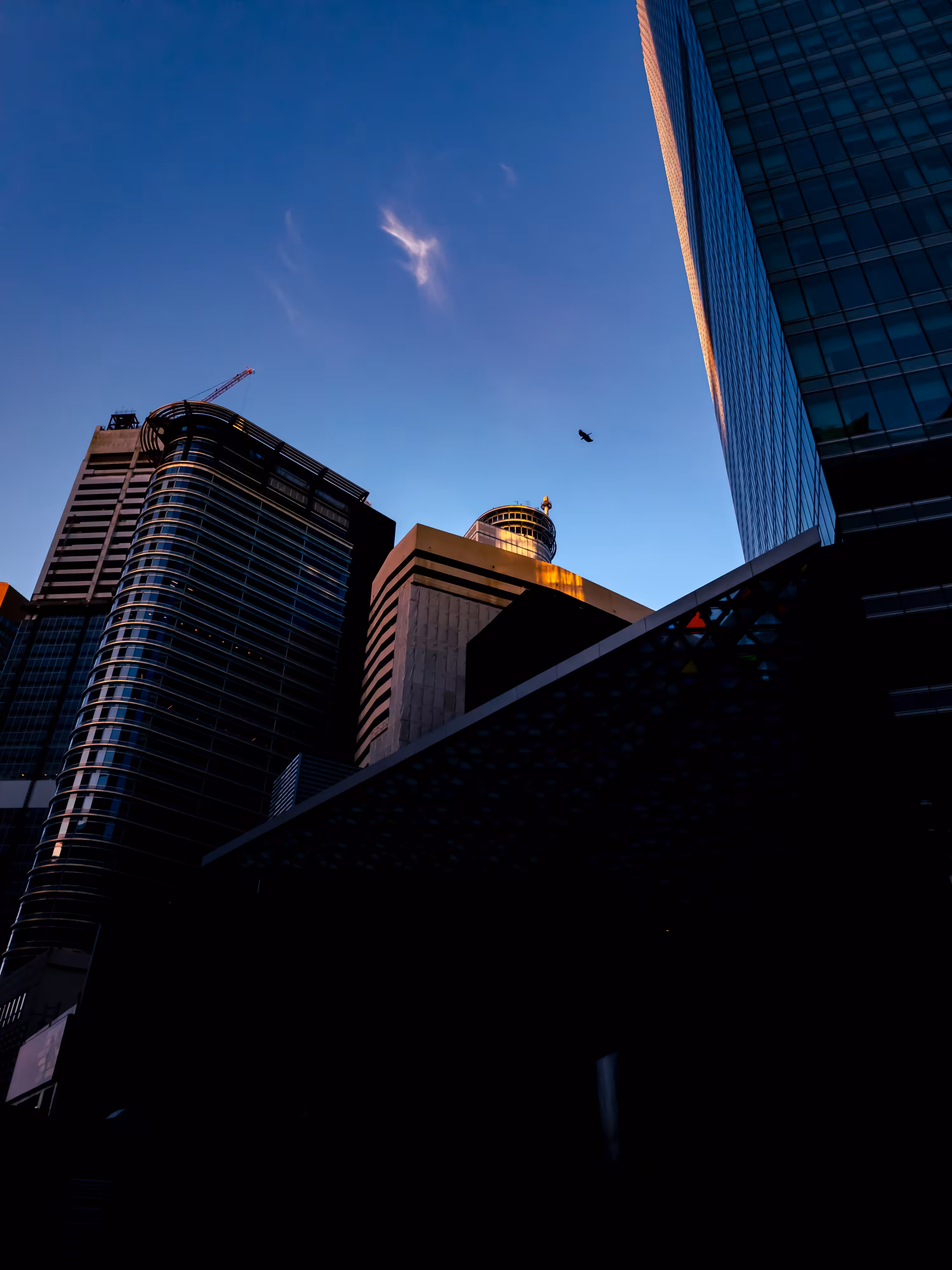 Ephemeral Perspectives: Soar High