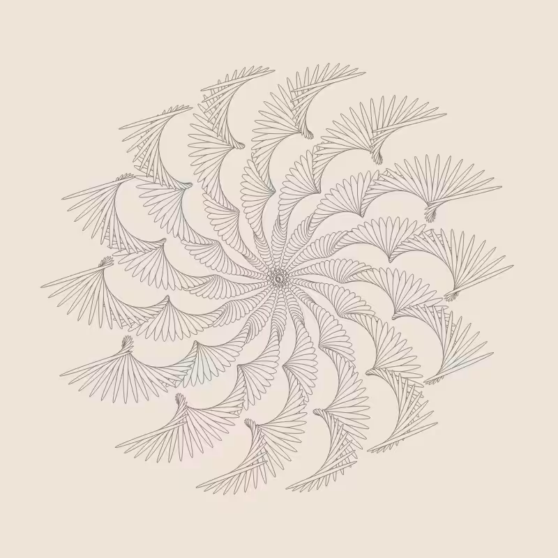 this is a bird: sketchbook limited edition #9