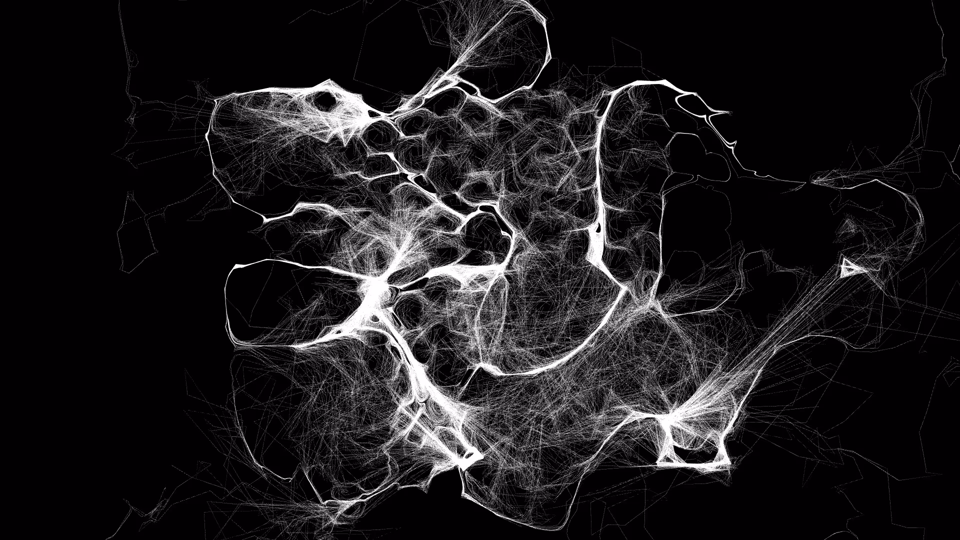 Abstract White and black Curl series 01