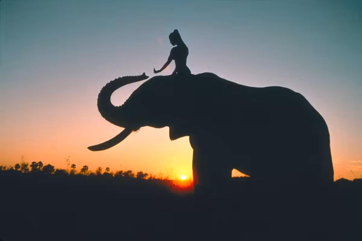 Sunset on the Okavango Delta #2