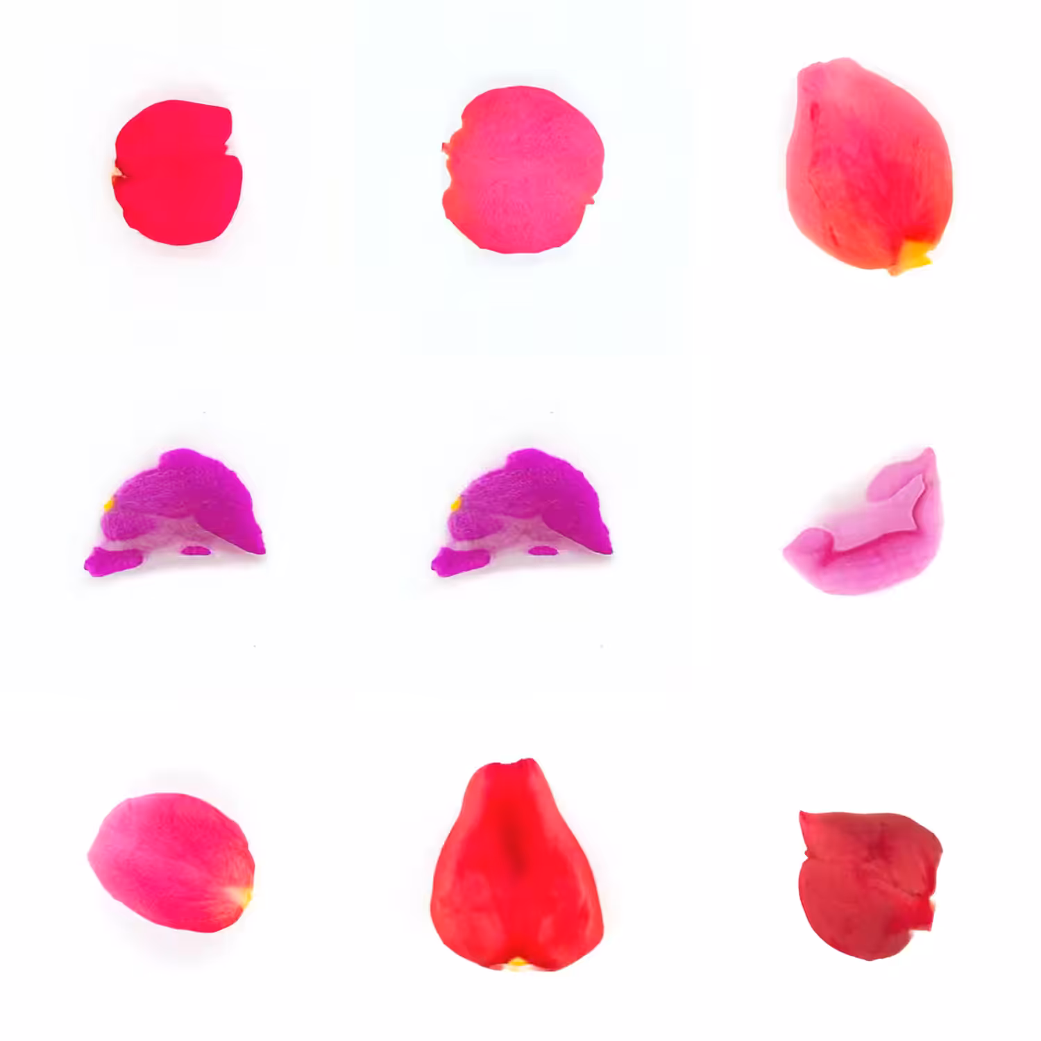 Infinite Petals 3x3#3878