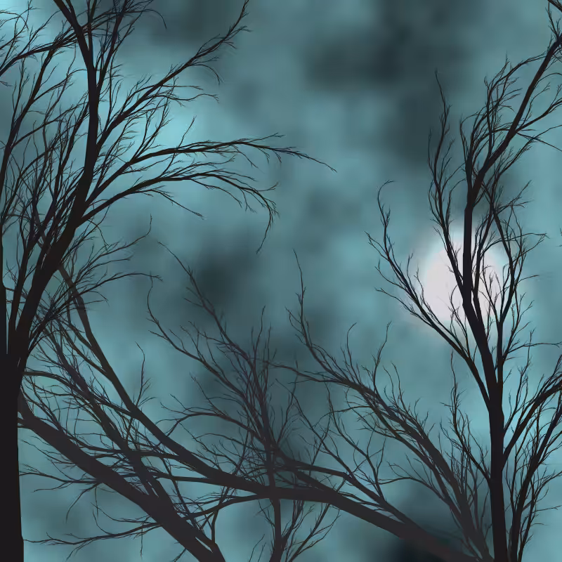 Through the night #16