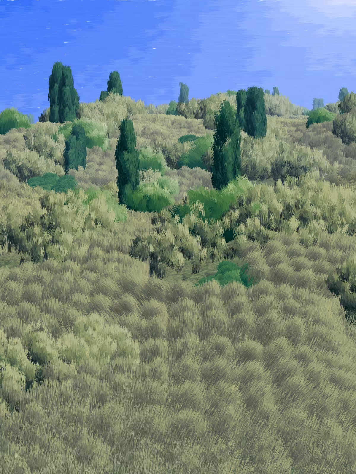 Provence #305