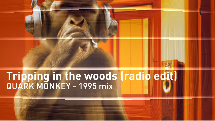 Quark Monkey | Dance Album  95: Tripping in the woods | Track 2