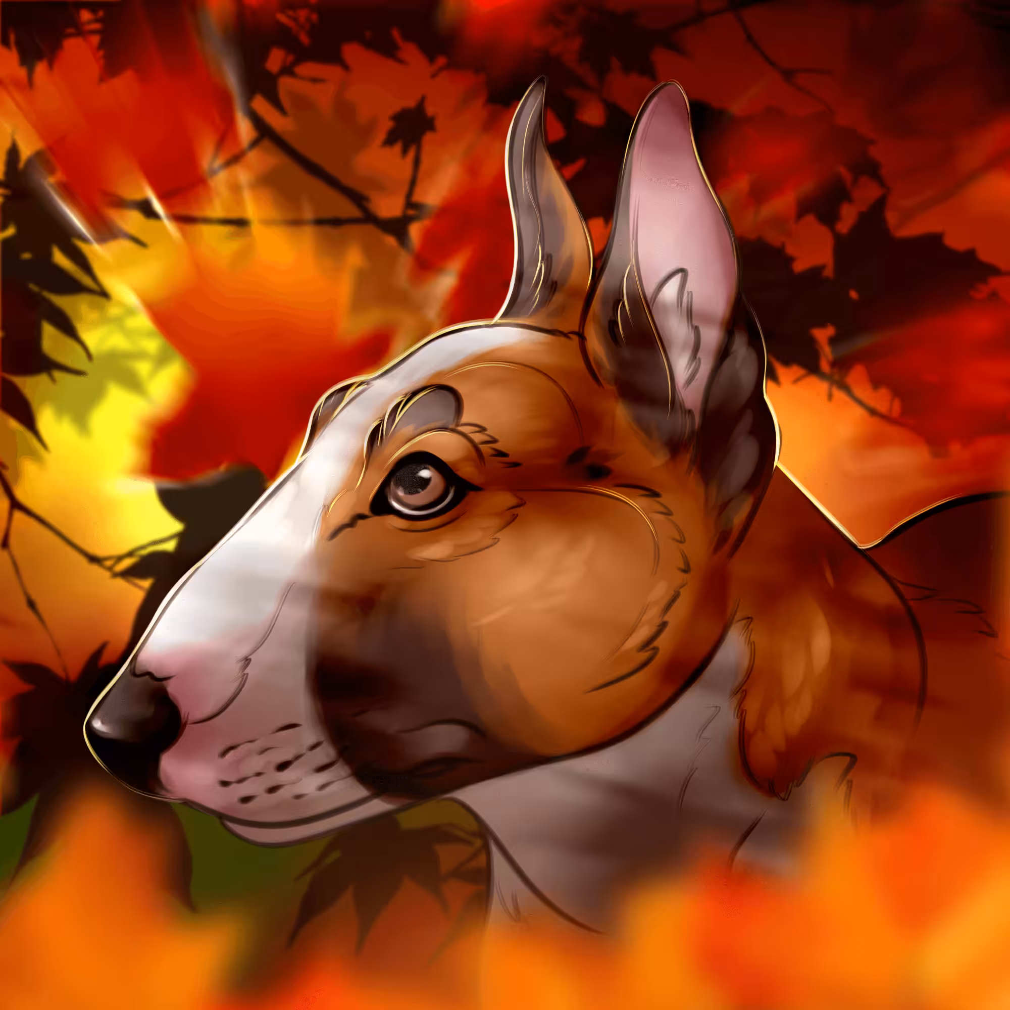 Bull Terrier