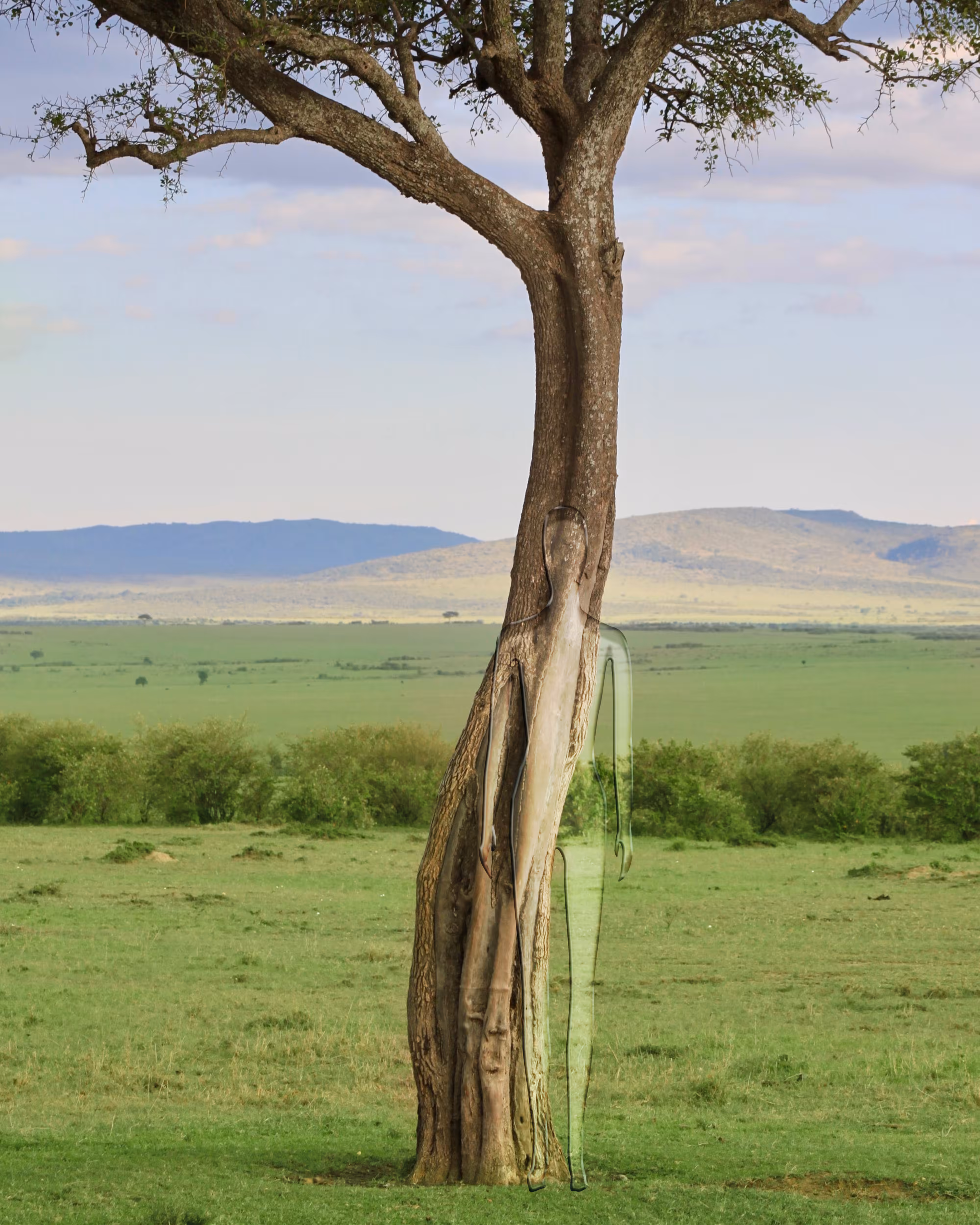 We are Nature