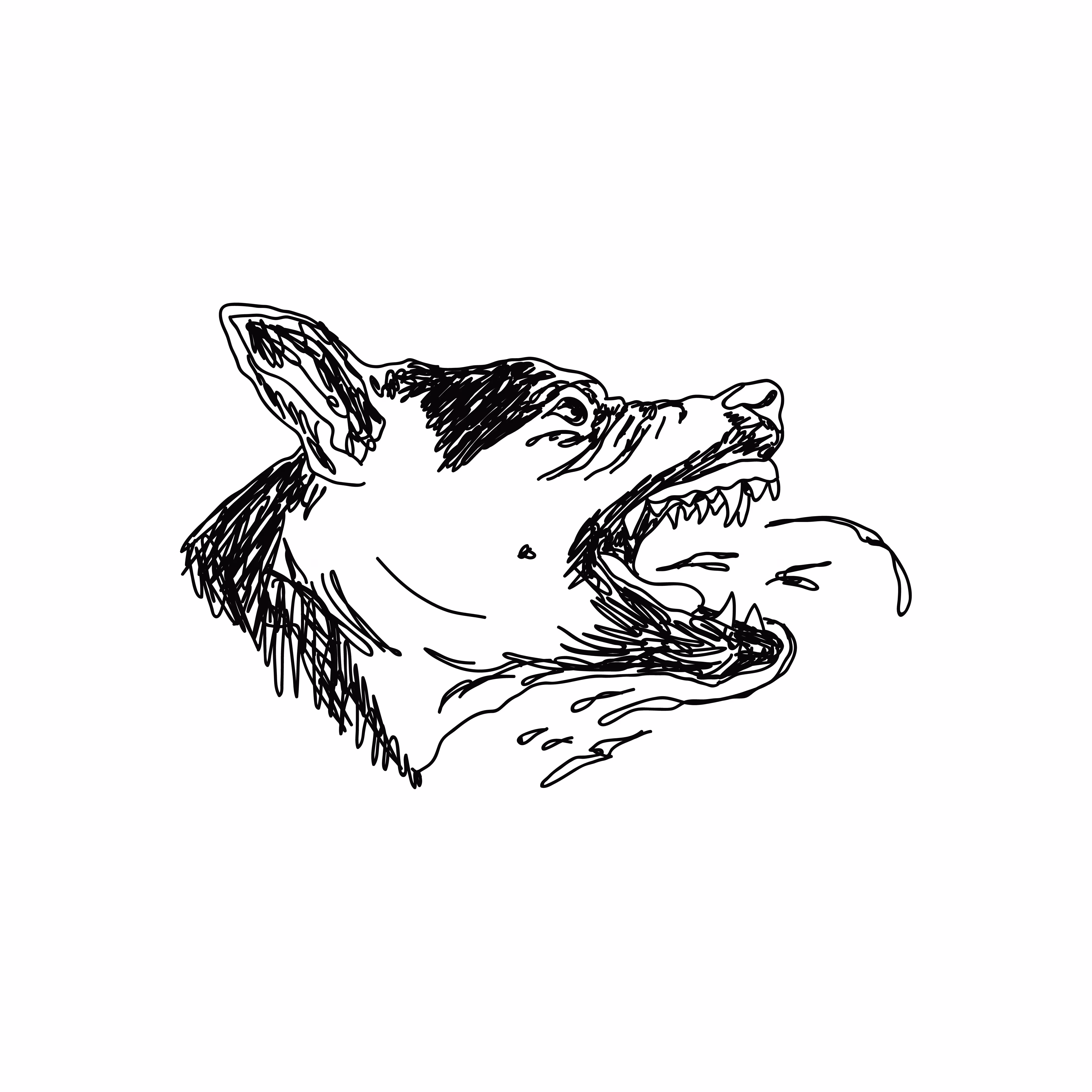 DOGGY