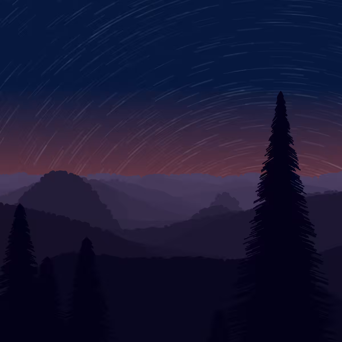 Night Sky