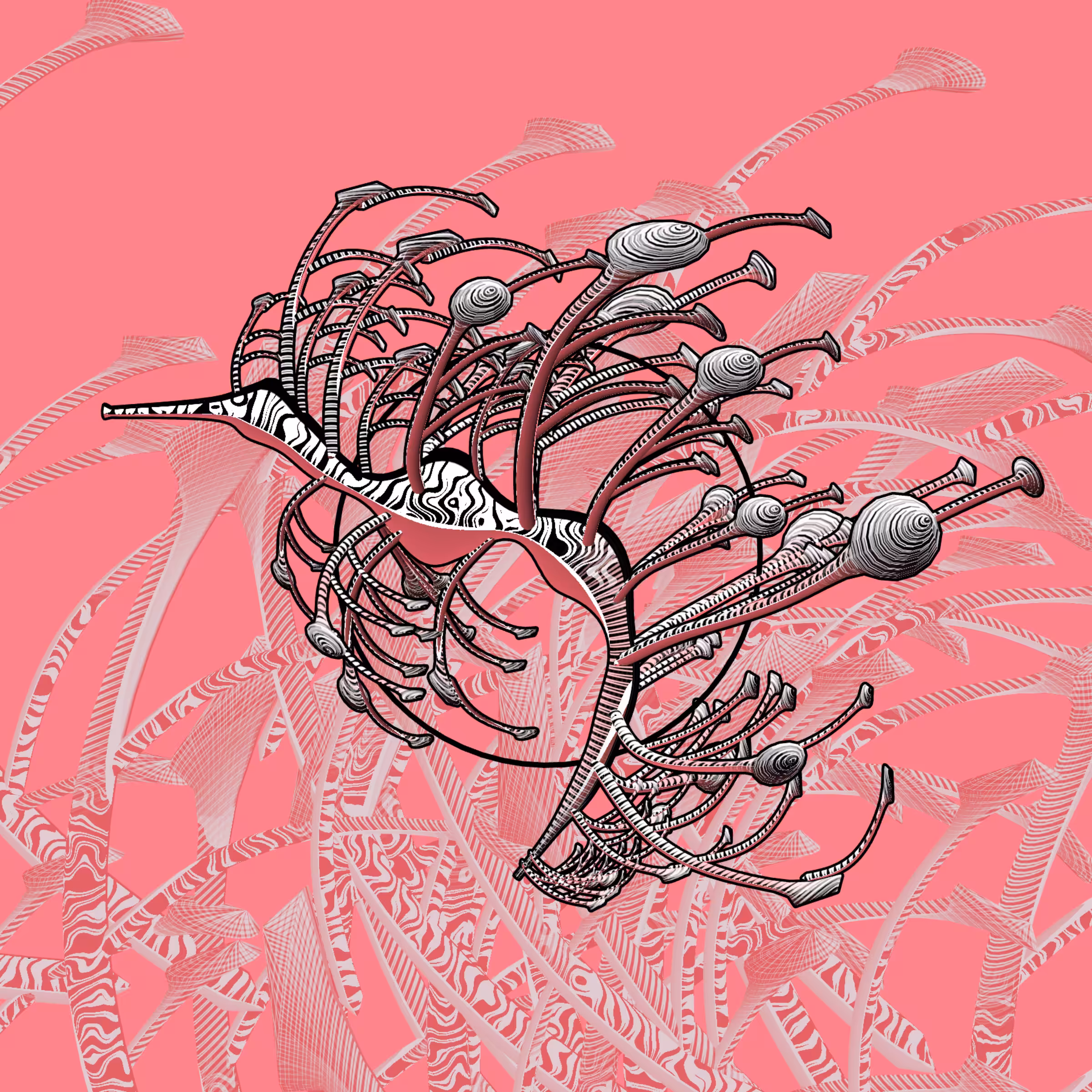 Seadragons #439