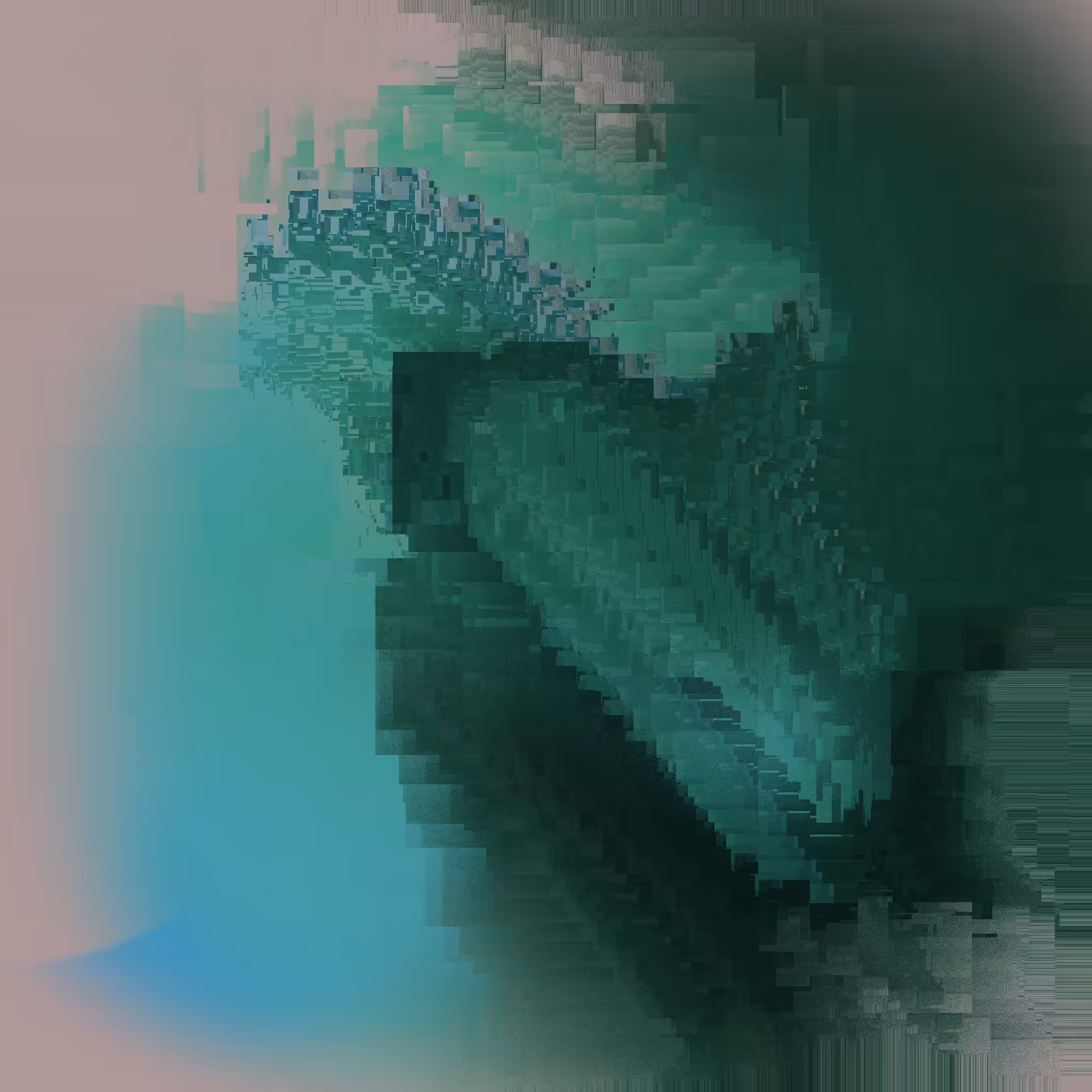 Internal Reflector #16