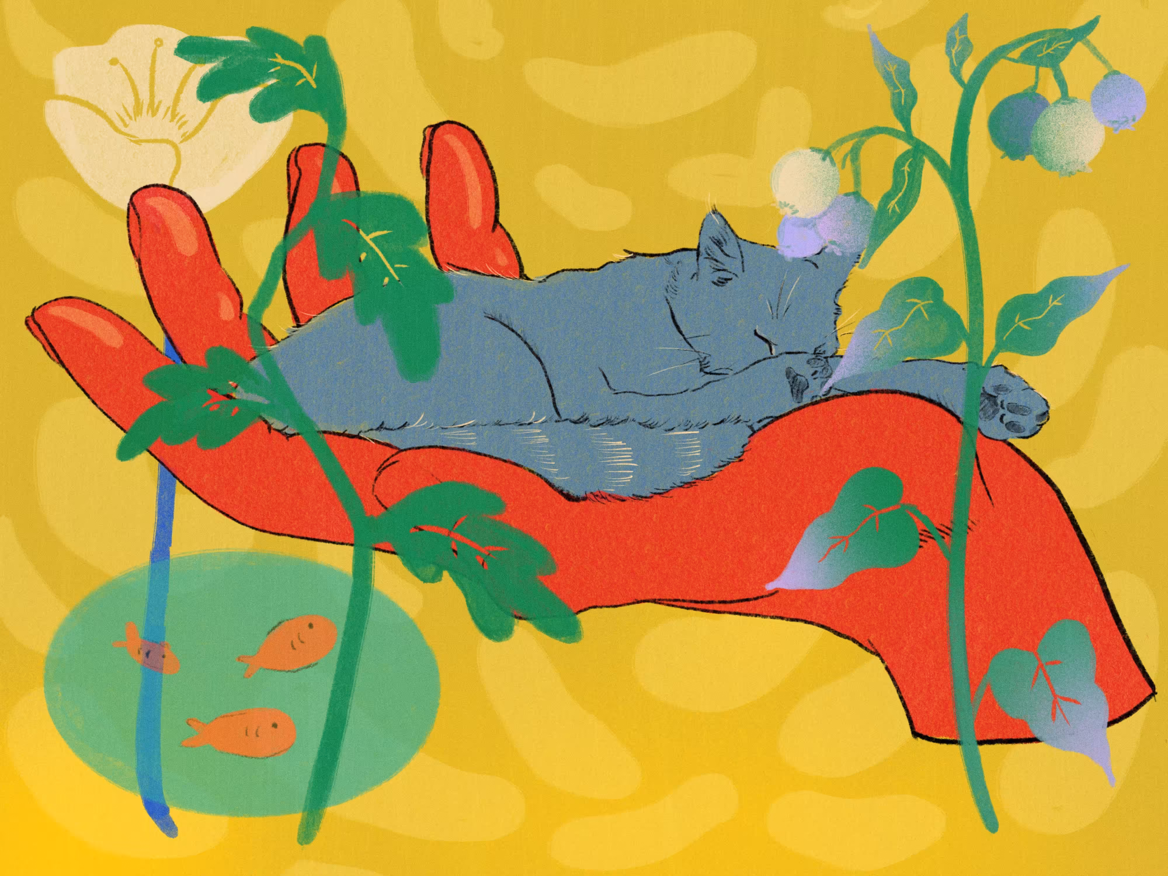 kitten's nap