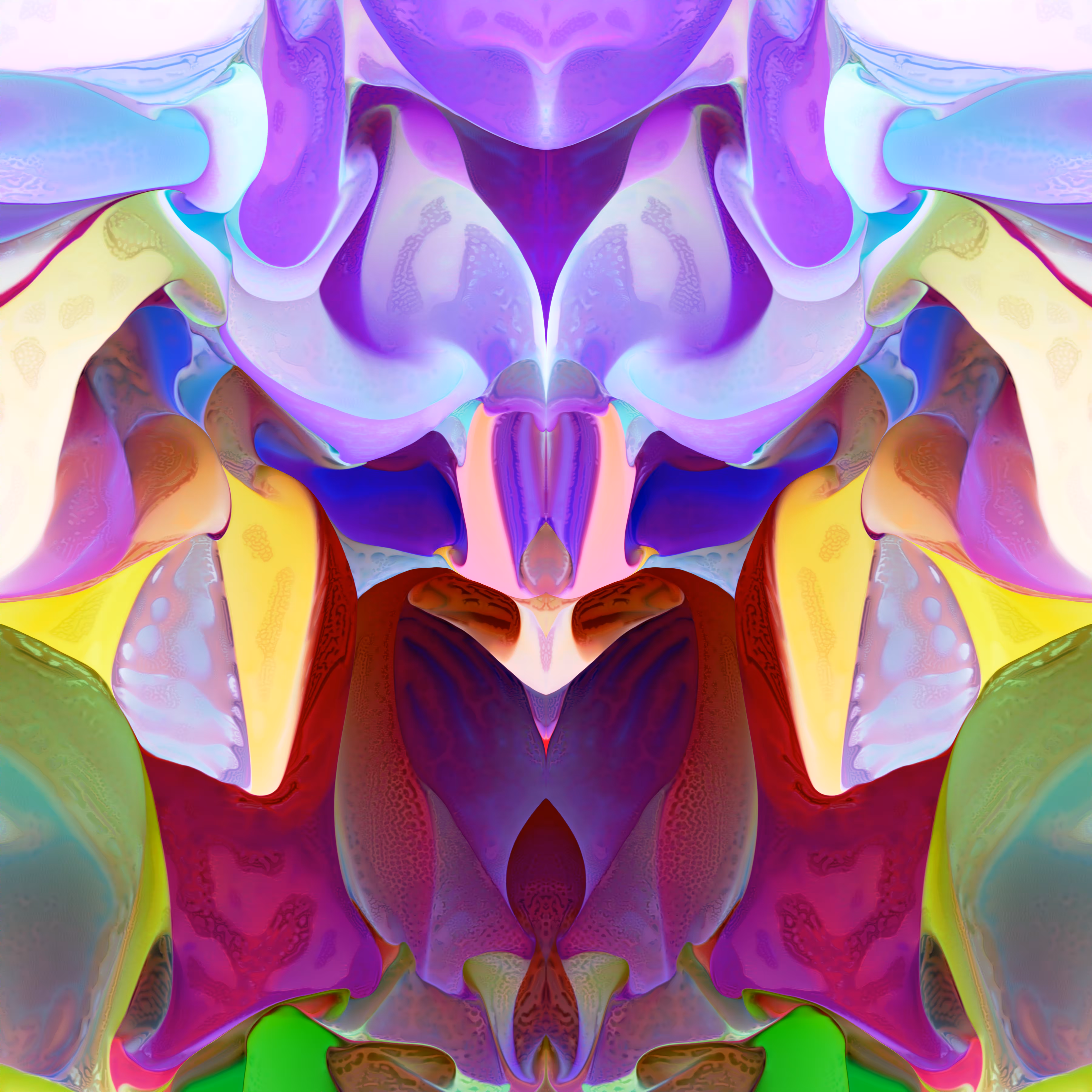 Not Orchid A