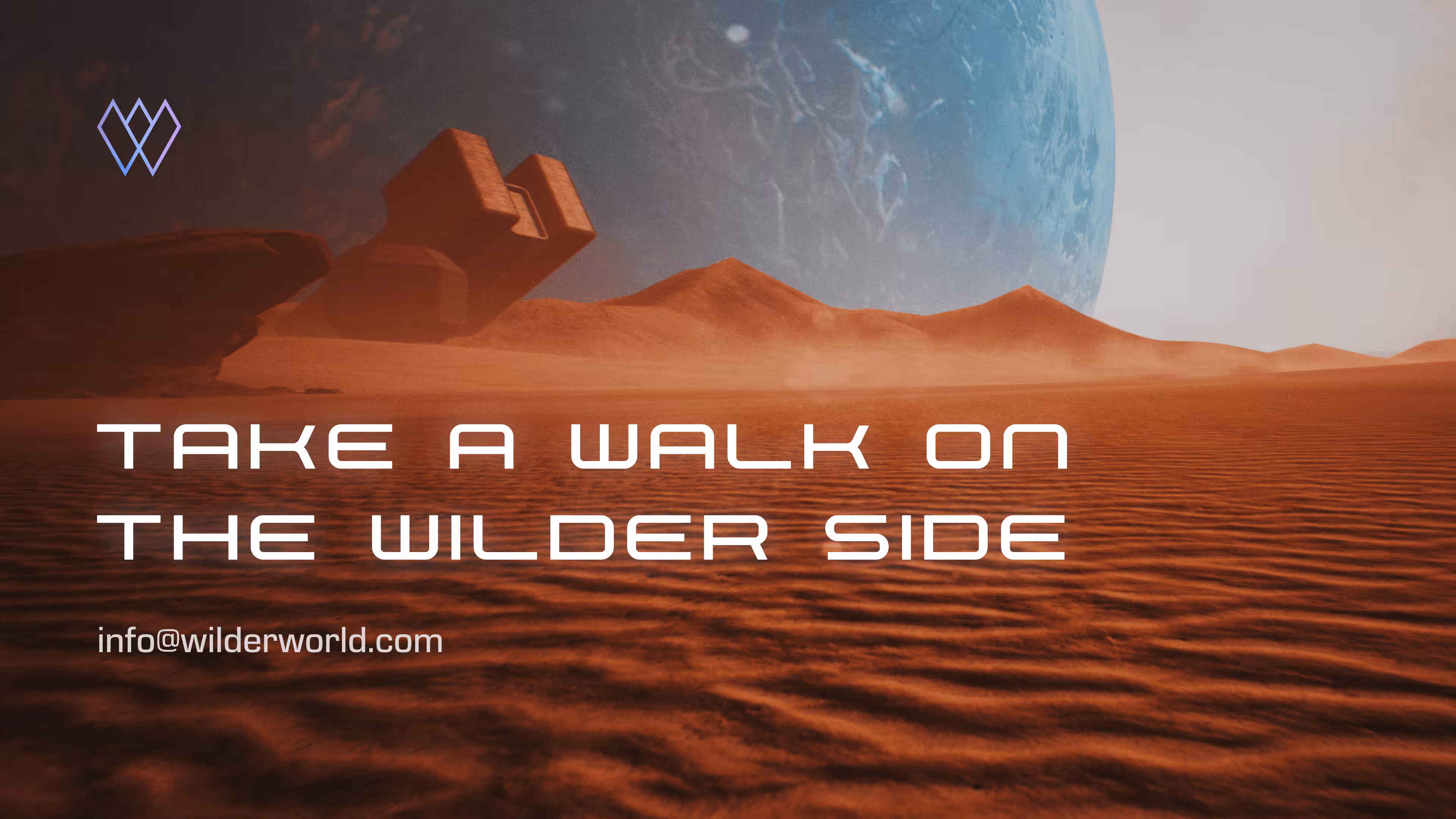 21/ Walk on the Wilder Side