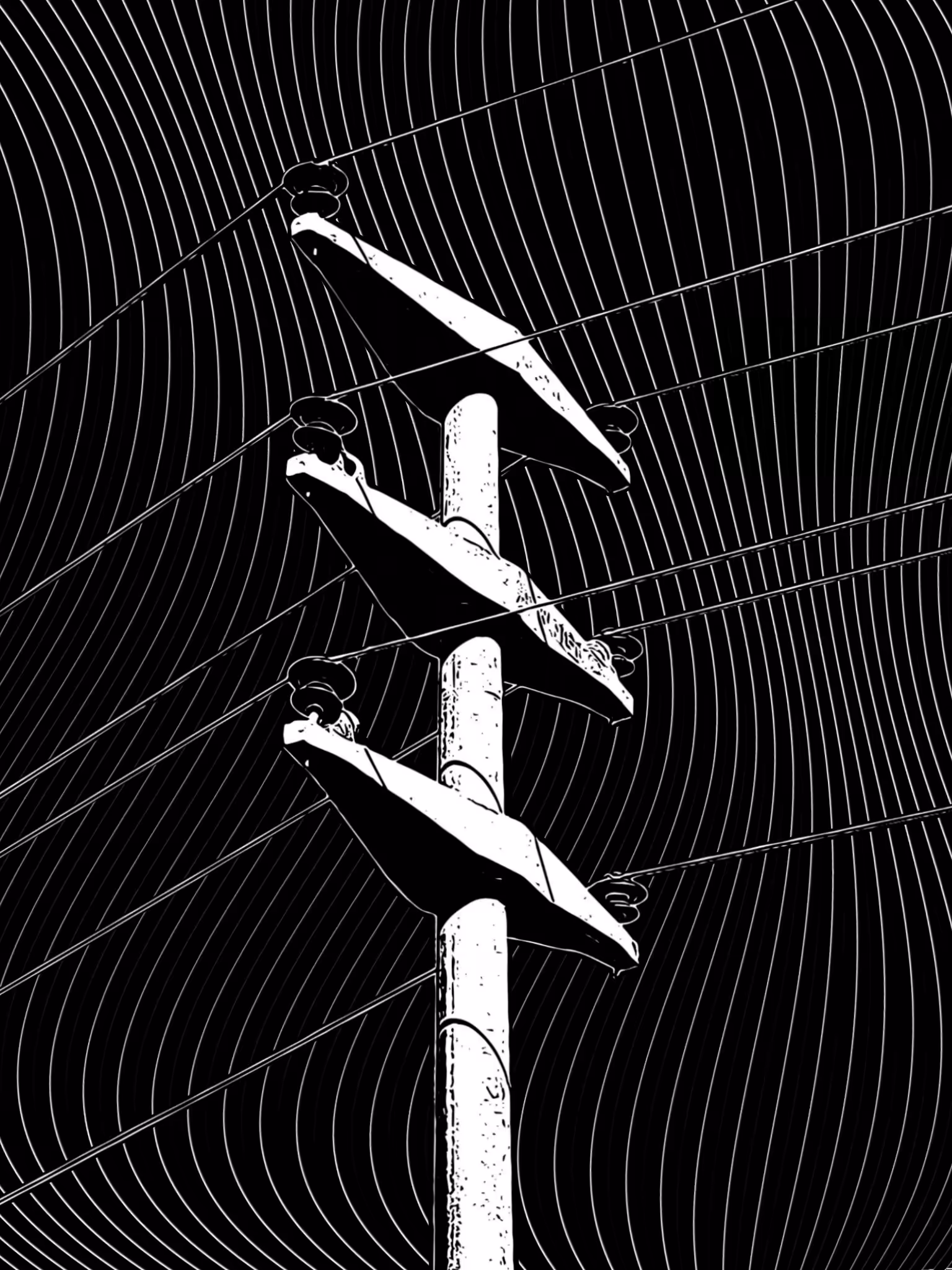 Cables V36