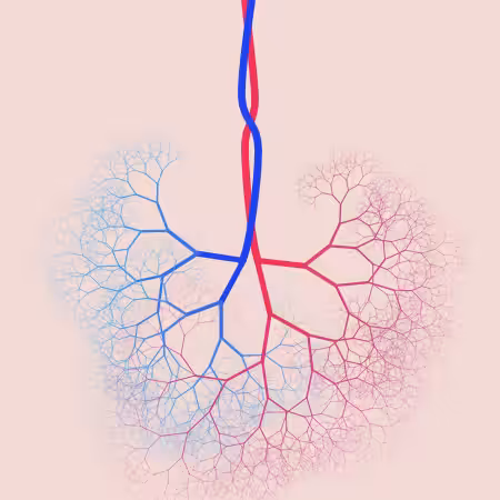 capillary trees #7