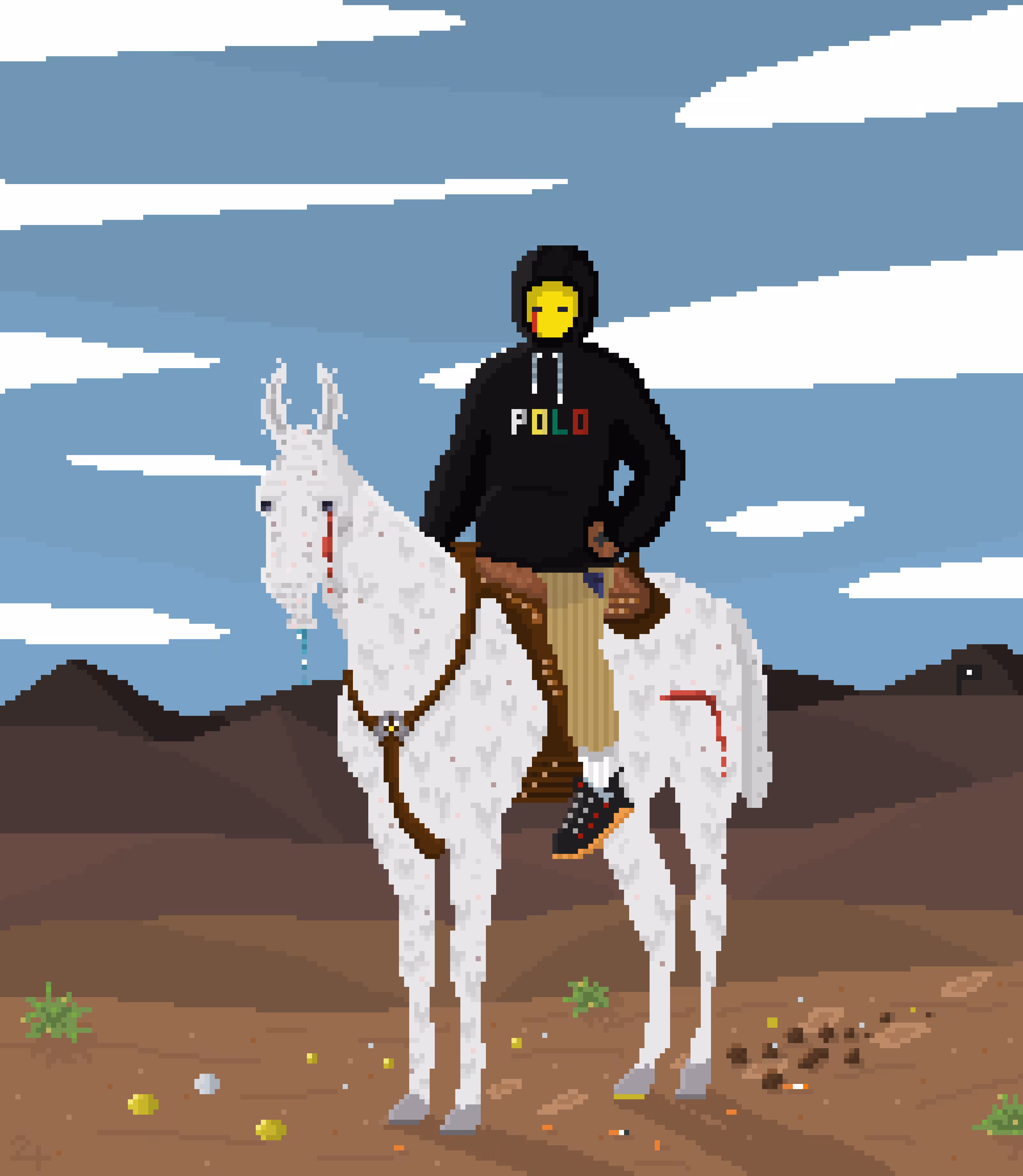 POLO NORTH
