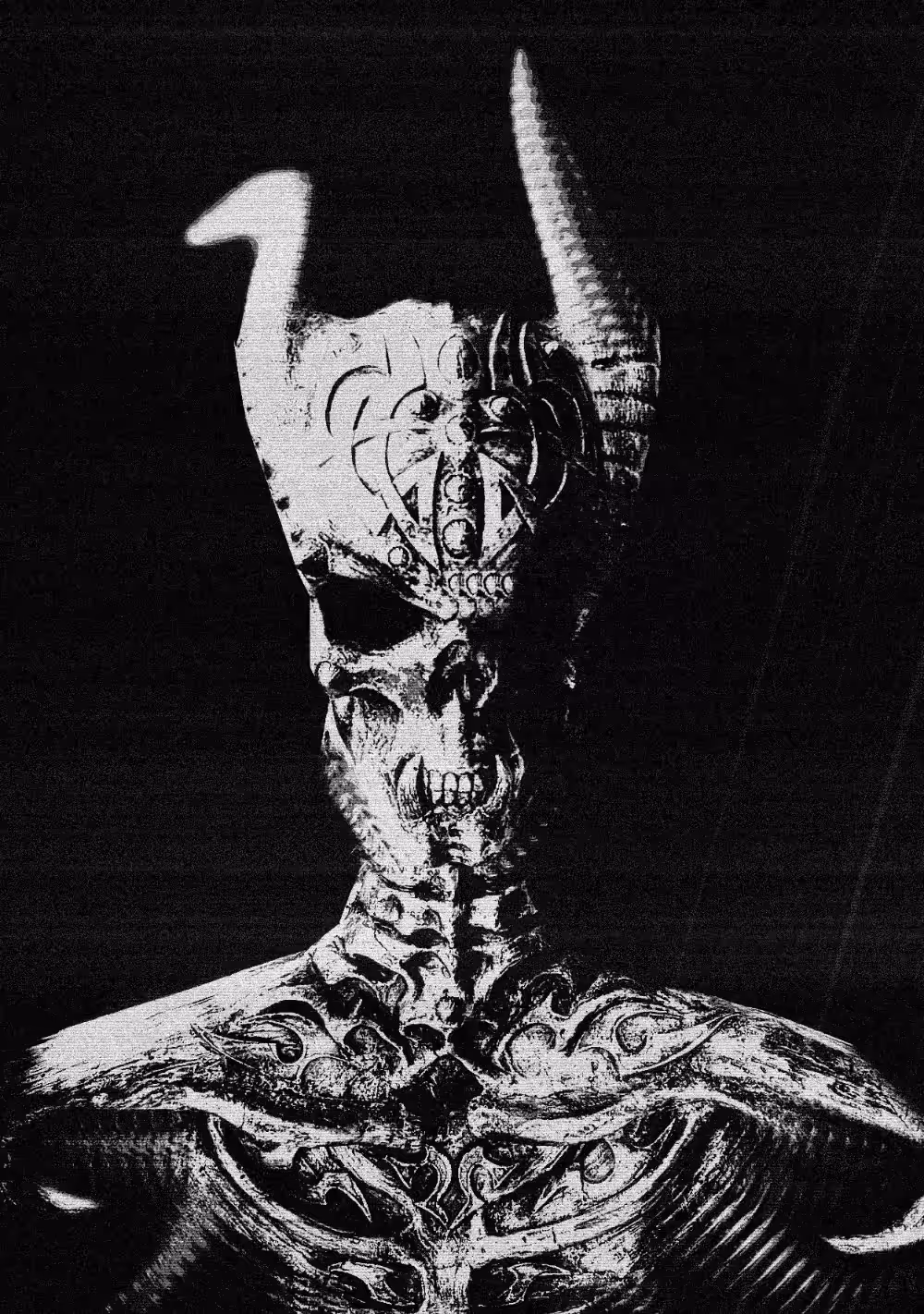 THE ARMOUR OF ECHO (THE BLACK)