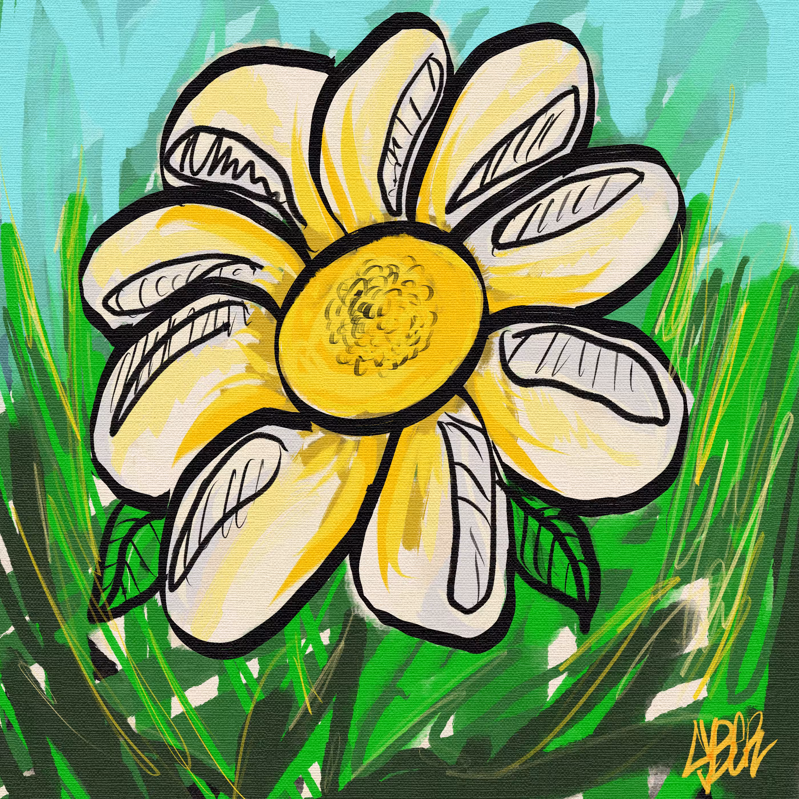Lone Daisy
